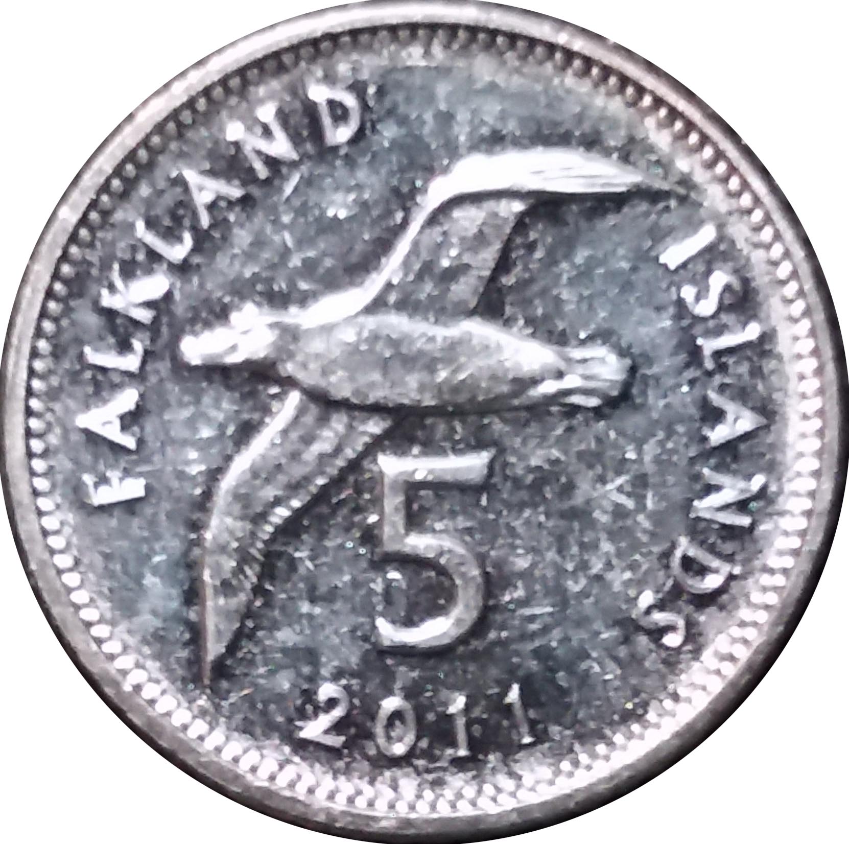 Falkland Islands 5 Pence - Elizabeth II 4th portrait - magnetic