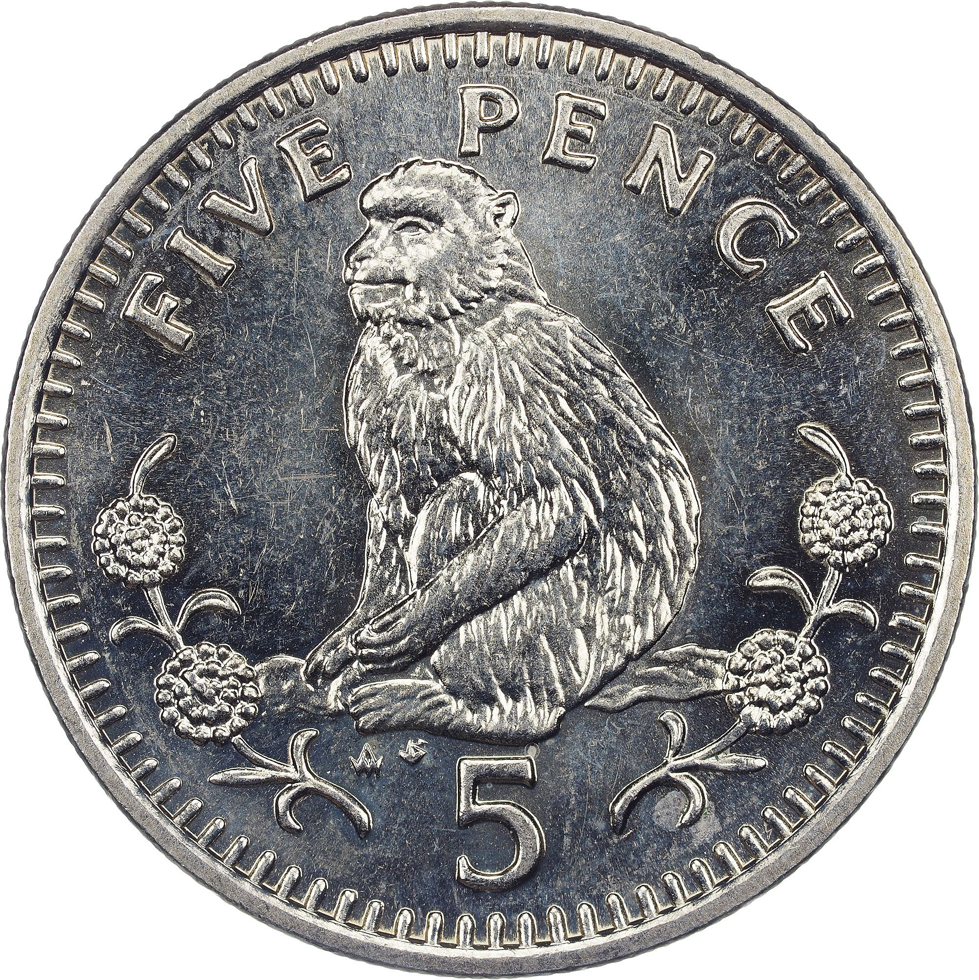 Gibraltar 5 Pence - Elizabeth II Barbary Macaque; large type