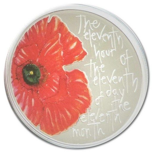 Alderney 5 Pounds - Elizabeth II Poppy, We Will Remember Them; Silver Proof Issue