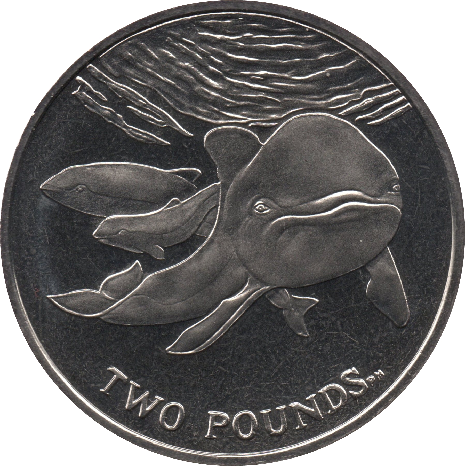 South Georgia and the South Sandwich Islands 2 Pounds - Elizabeth II The Spectacled Porpoise
