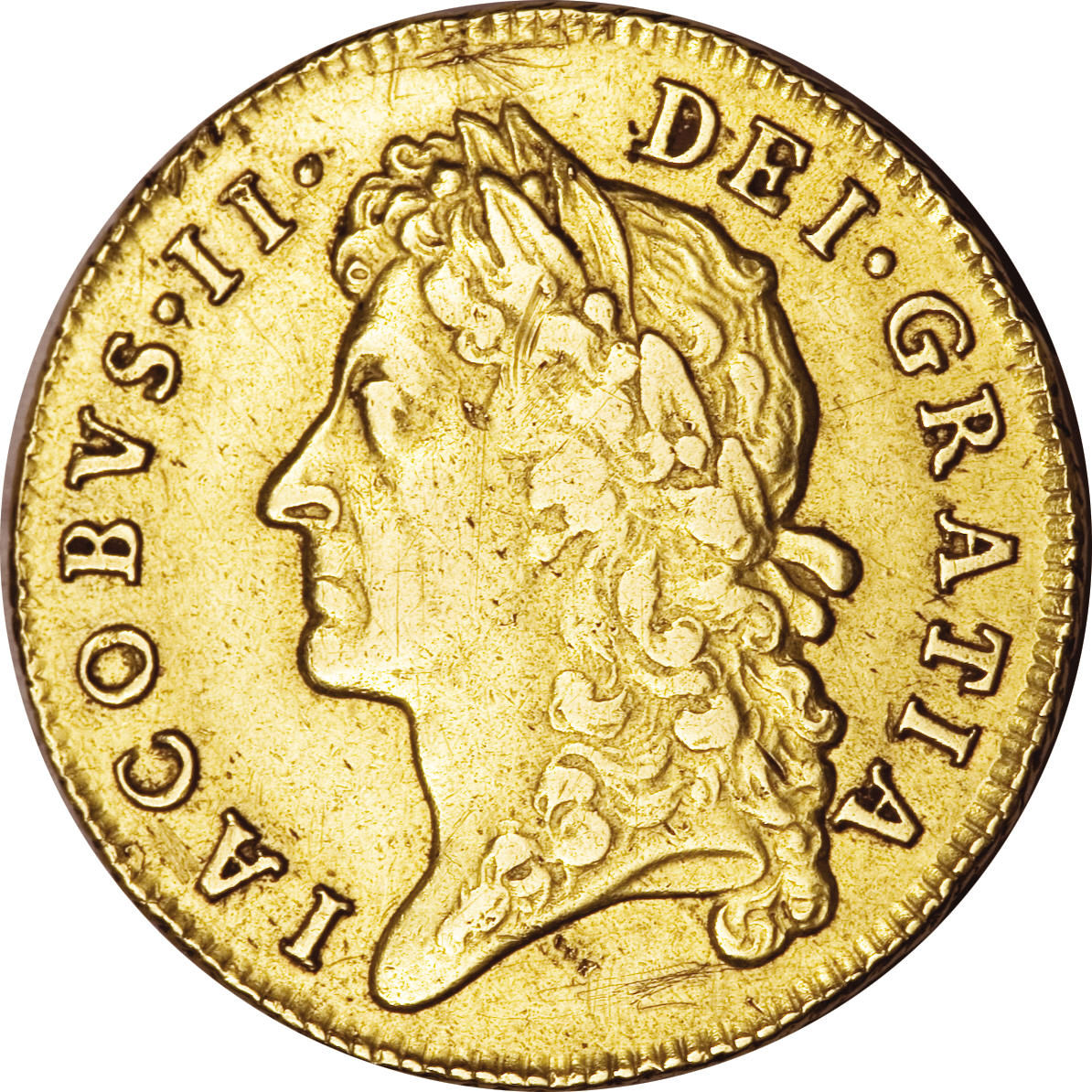 1 Guinea - James II 1st bust obverse