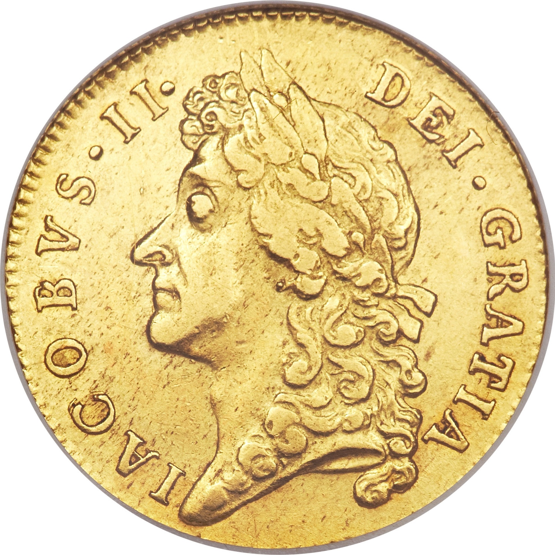1 Guinea - James II 2nd bust obverse