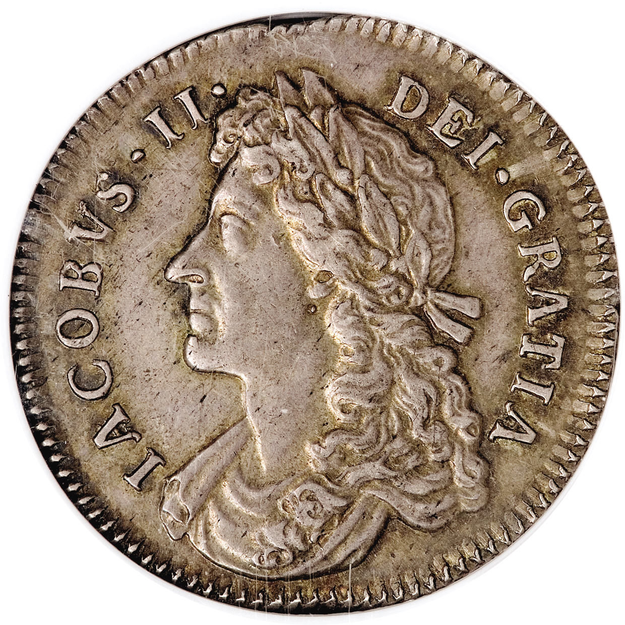 1 Shilling - James II obverse