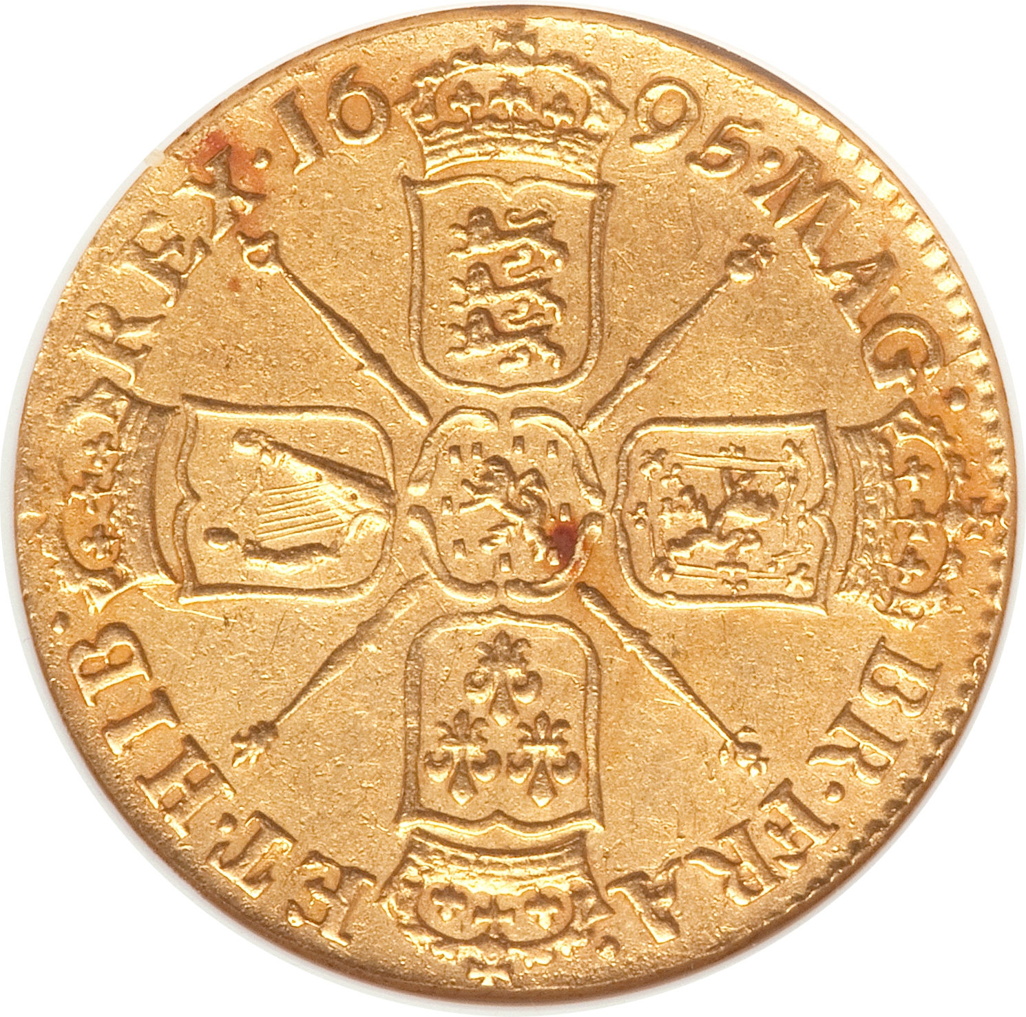 1 Guinea - William III 1st bust