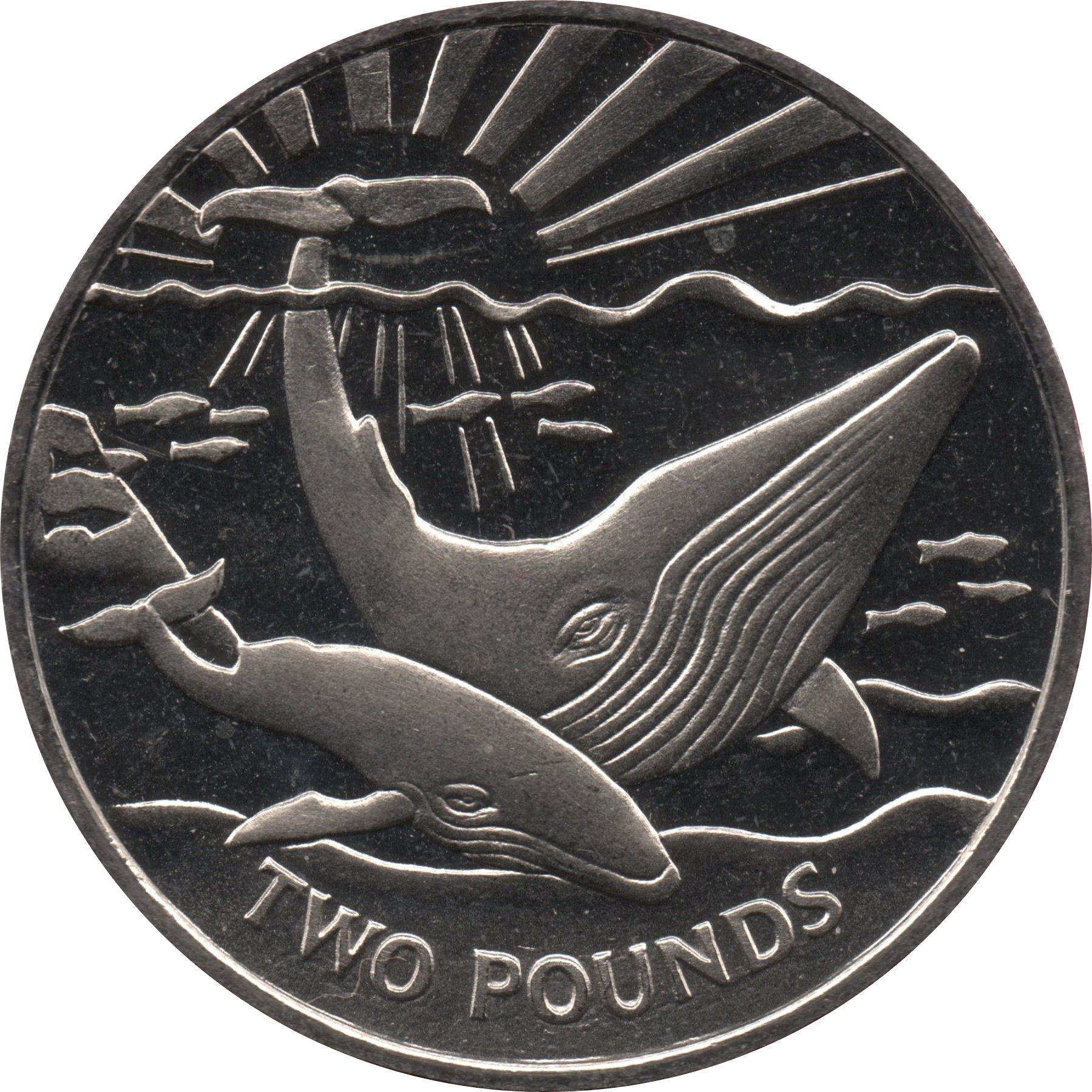 South Georgia and the South Sandwich Islands 2 Pounds - Elizabeth II Blue Whale
