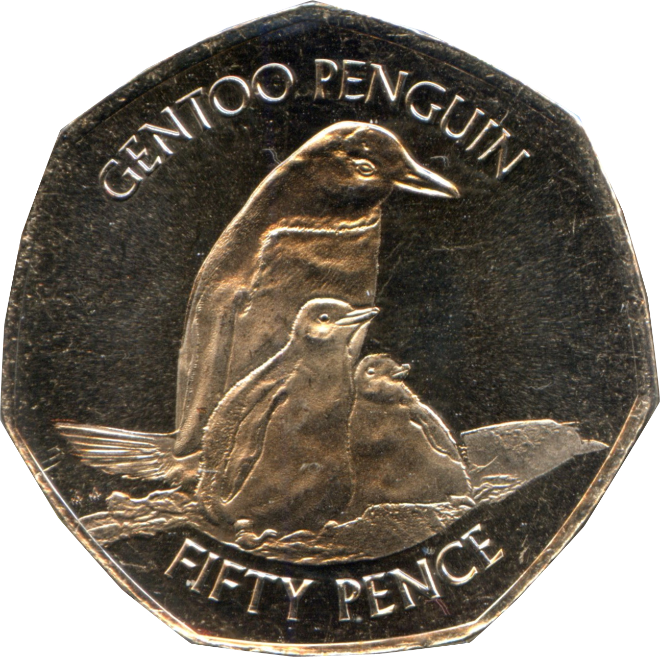 Falkland Islands 50 Pence - Elizabeth II Gentoo Penguin
