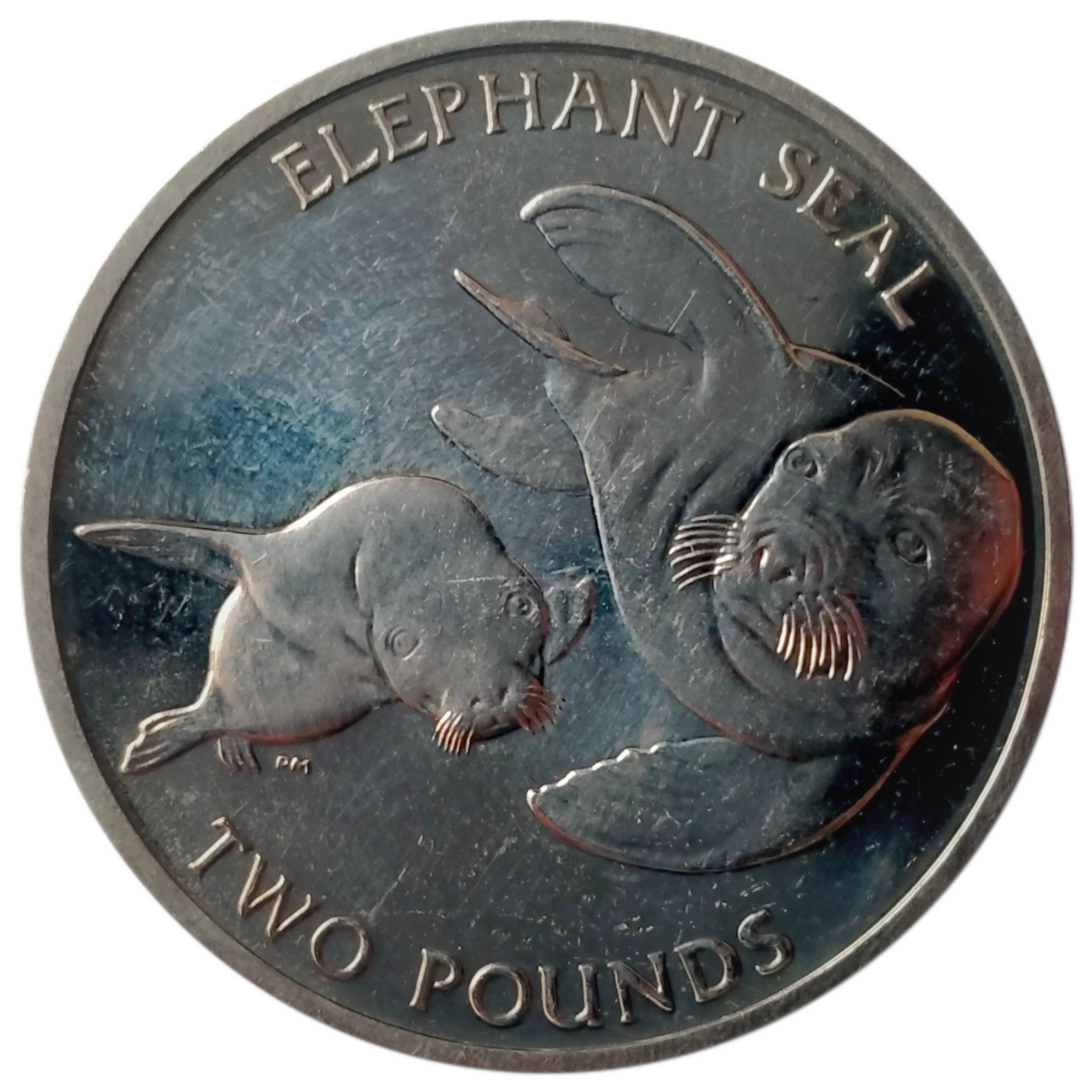 South Georgia and the South Sandwich Islands 2 Pounds - Elizabeth II Elephant Seal