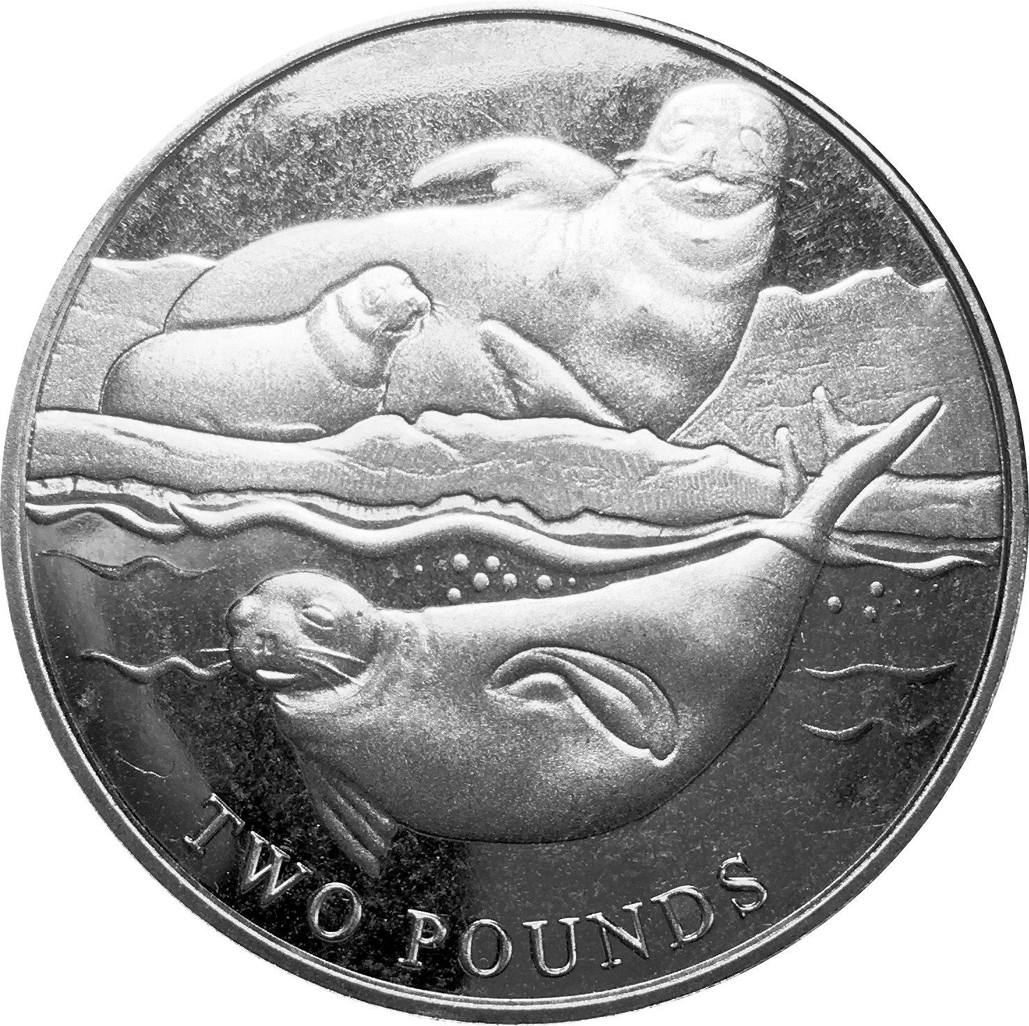 British Antarctic Territory 2 Pounds - Elizabeth II Crabeater seal