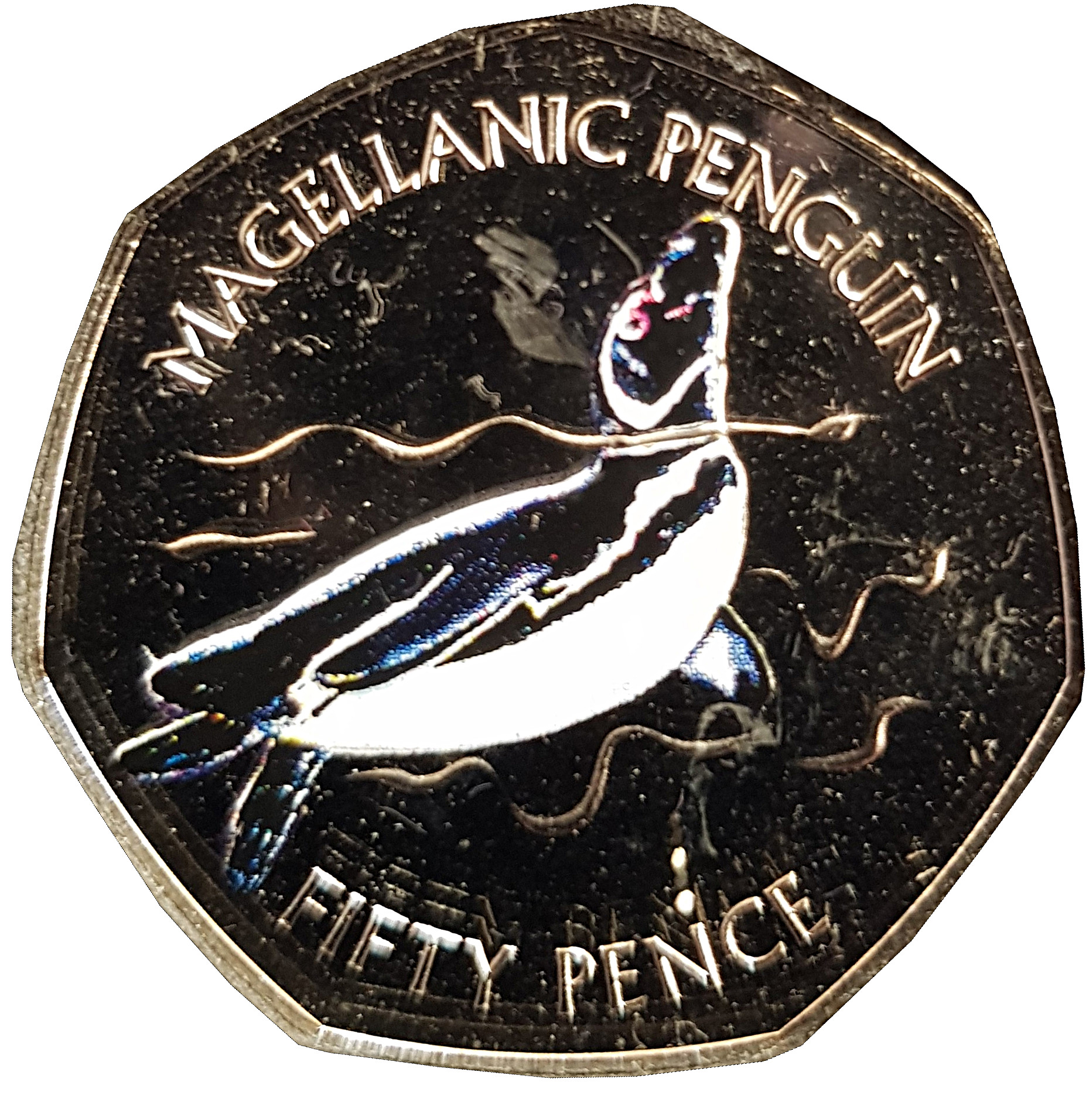 Falkland Islands 50 Pence - Elizabeth II Magellanic Penguin-coloured