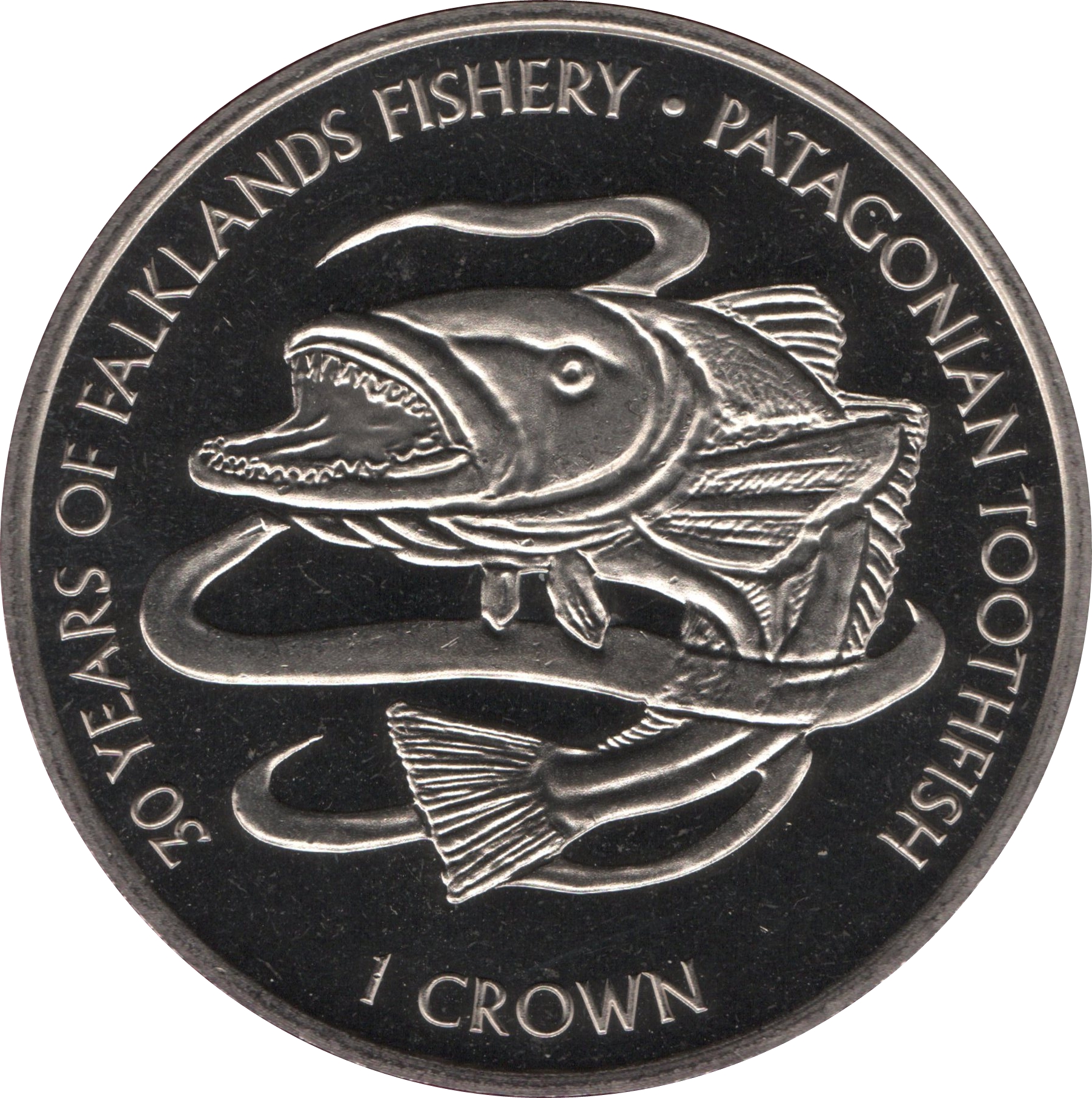 Falkland Islands 1 Crown - Elizabeth II Patagonian Toothfish reverse