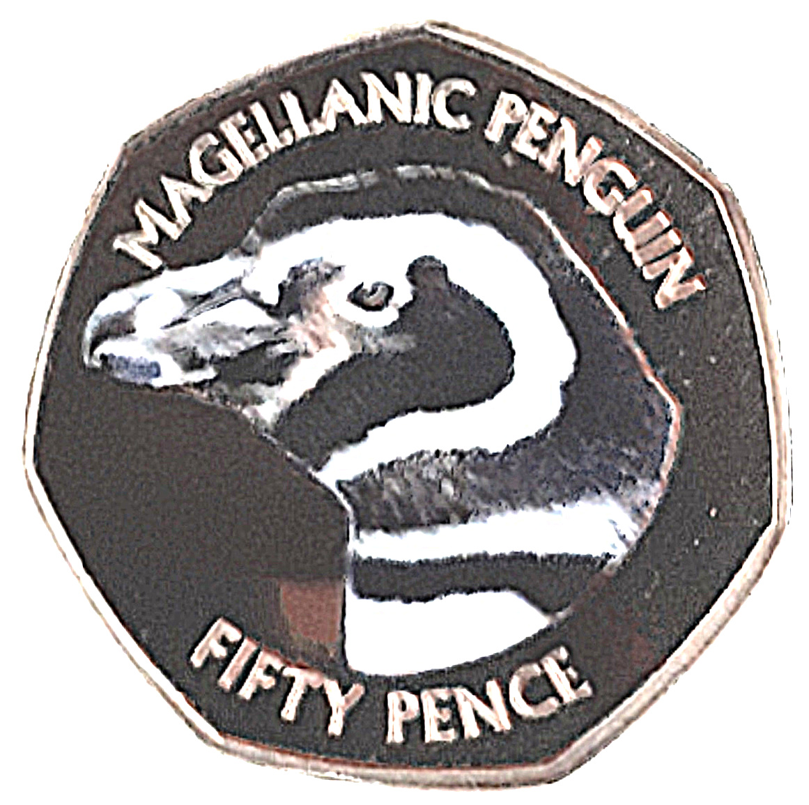 Falkland Islands 50 Pence - Elizabeth II Magellanic Penguin; Coloured
