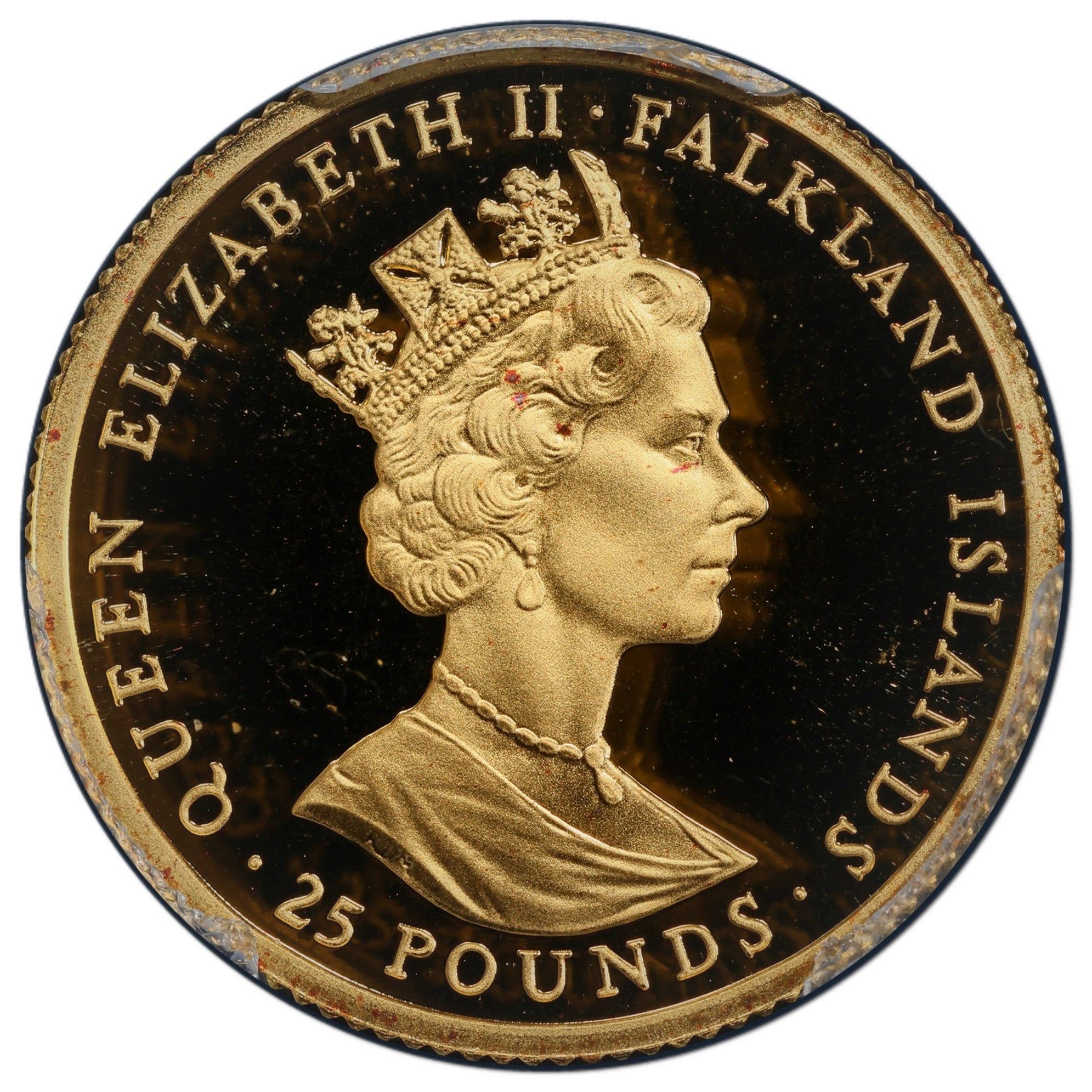 Falkland Islands 25 Pounds - Elizabeth II Christchurch Cathedral obverse