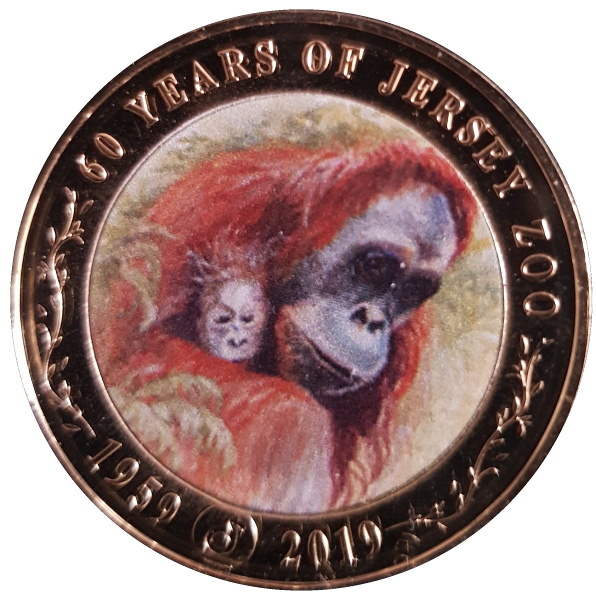 Jersey 2 Pounds - Elizabeth II 60th Anniversary of Jersey Zoo - Orangutan