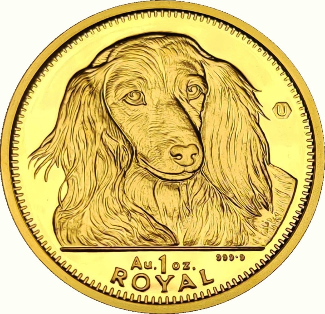 Gibraltar 1 Royal - Elizabeth II Long-haired Dachshund