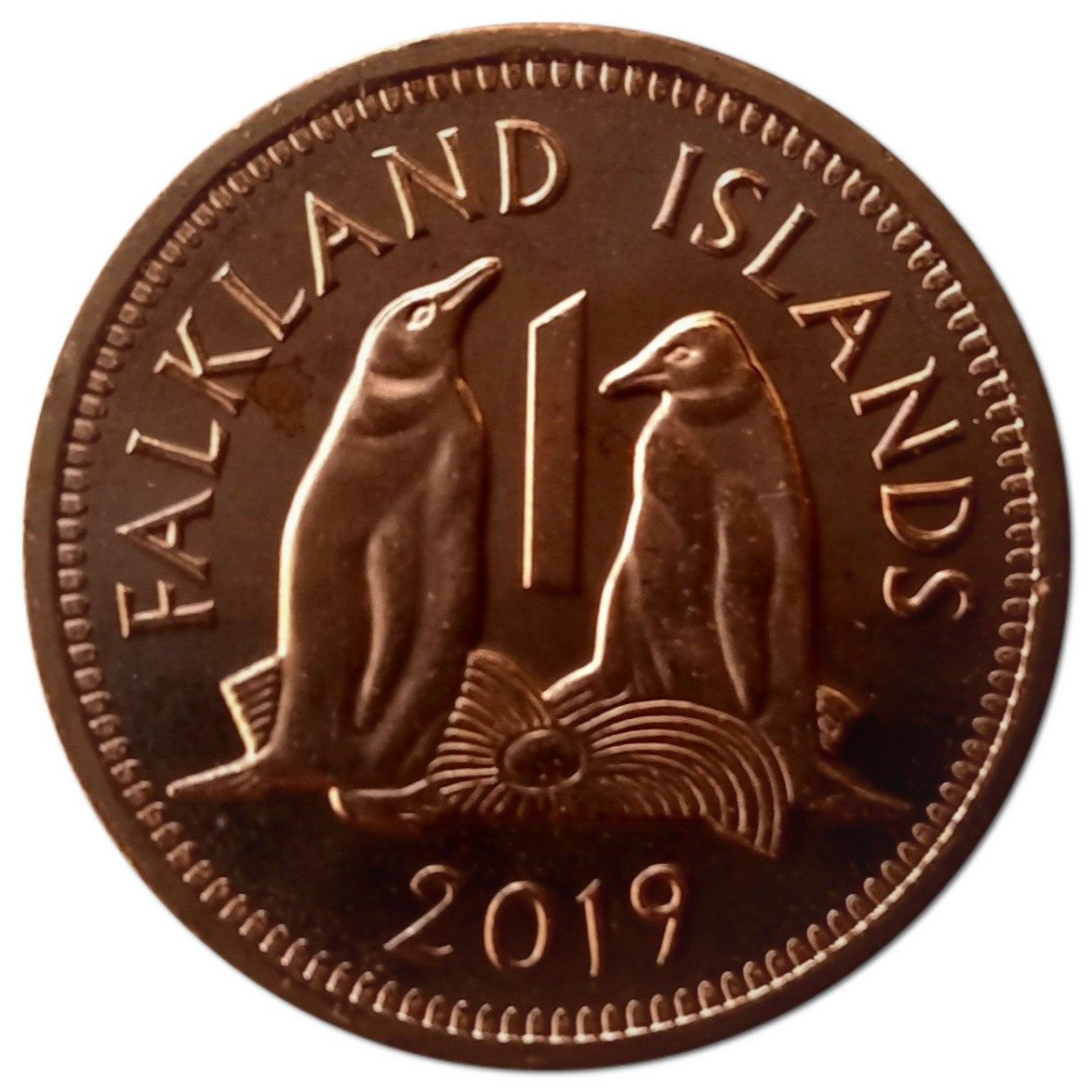 Falkland Islands 1 Penny - Elizabeth II 5th portrait