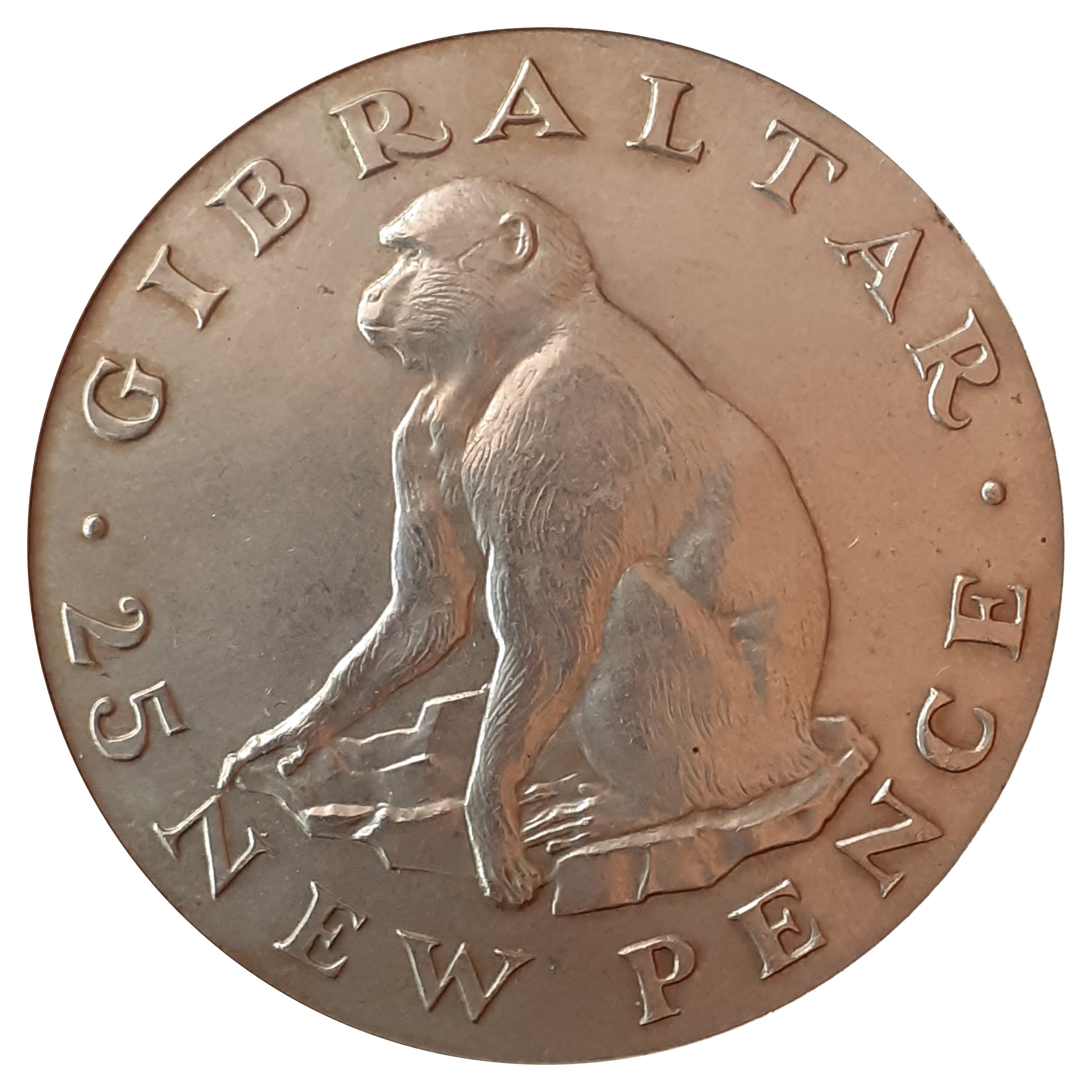 Gibraltar 25 New Pence - Elizabeth II Barbary Ape