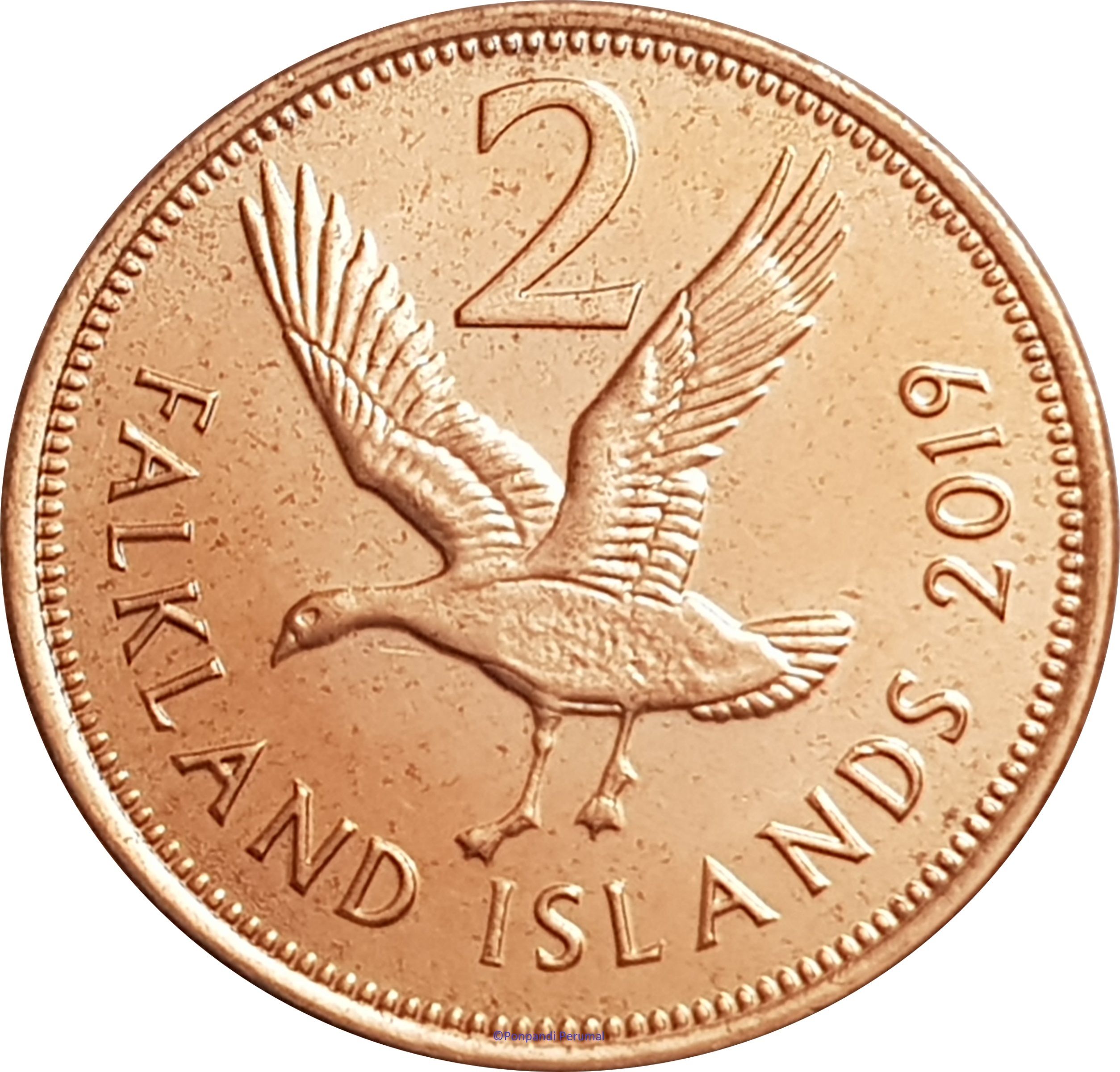 Falkland Islands 2 Pence - Elizabeth II 5th portrait