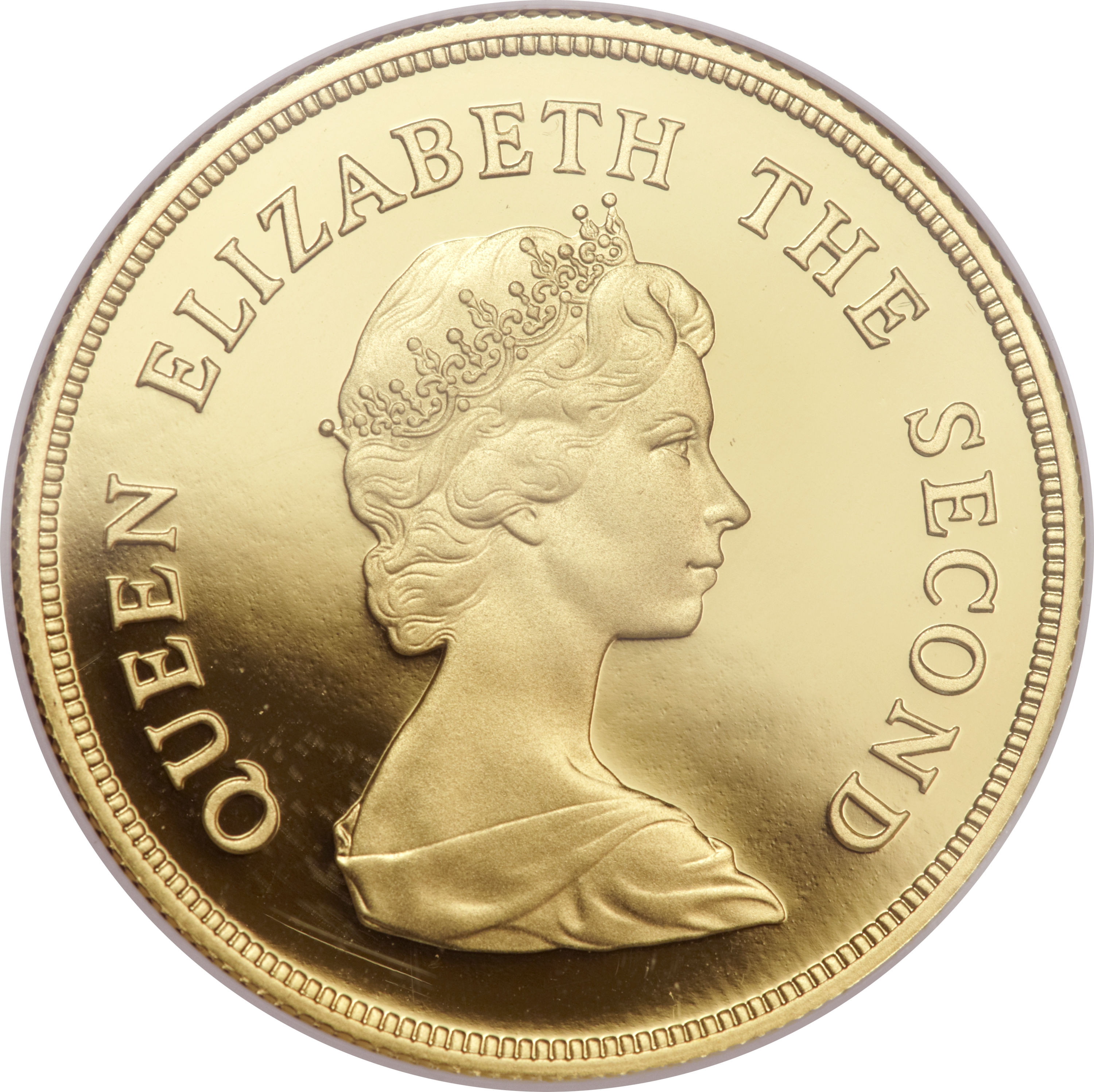 Falkland Islands 150 Pounds - Elizabeth II Southern sea lion obverse
