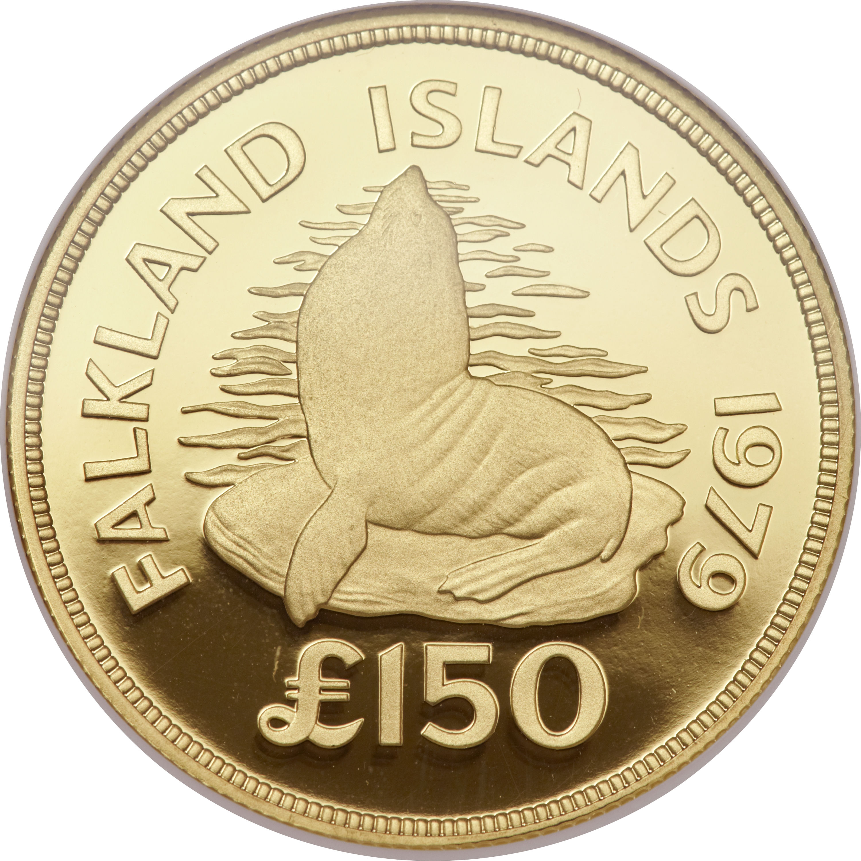 Falkland Islands 150 Pounds - Elizabeth II Southern sea lion reverse