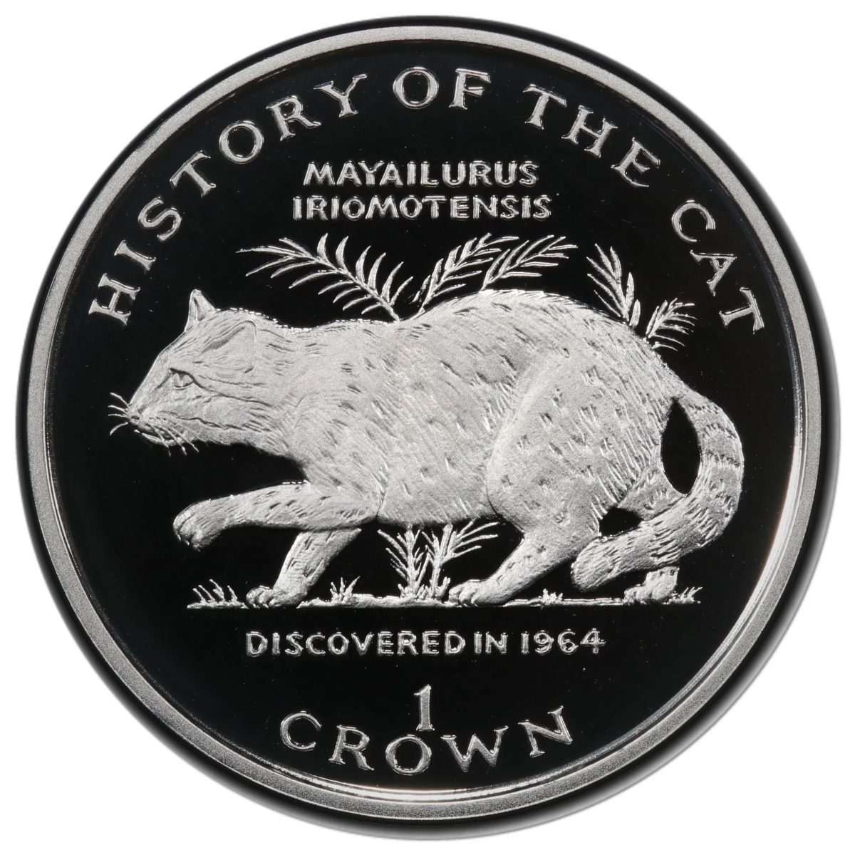 Isle of Man 1 Crown - Elizabeth II Mayailurus iriomotensis; Silver Proof reverse
