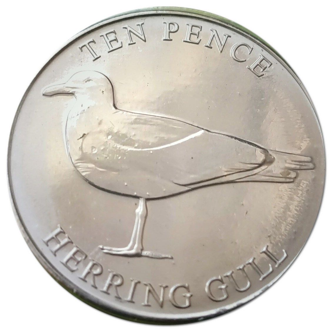 Guernsey 10 Pence - Elizabeth II Herring Gull reverse