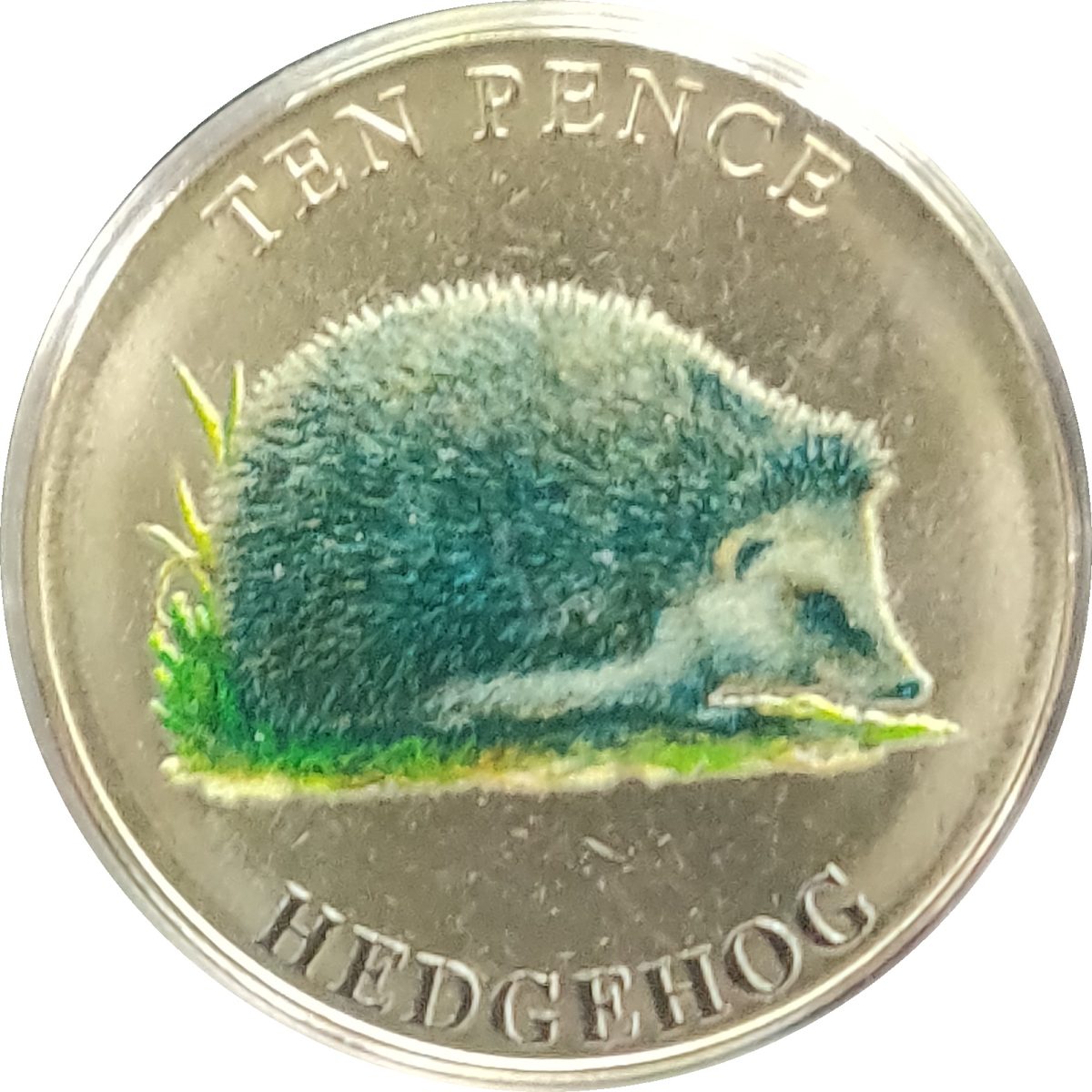 Guernsey 10 Pence - Elizabeth II Hedgehog colour printing reverse
