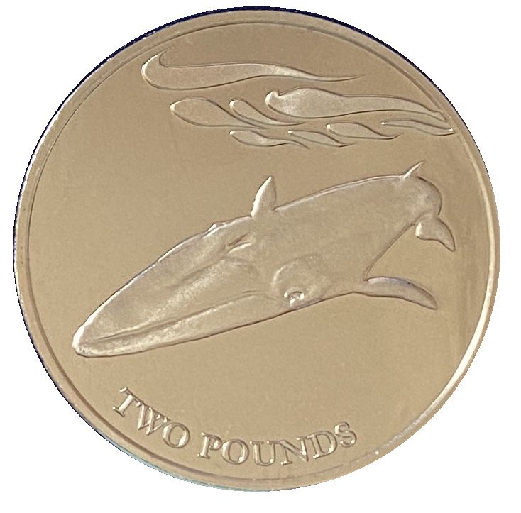 South Georgia and the South Sandwich Islands 2 Pounds - Elizabeth II Fin whale