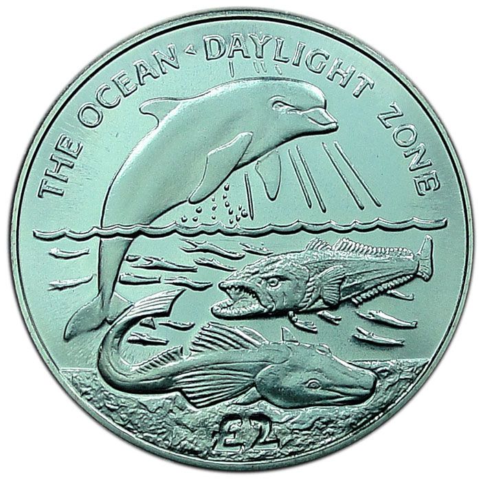 South Georgia and the South Sandwich Islands 2 Pounds - Elizabeth II Daylight Zone reverse