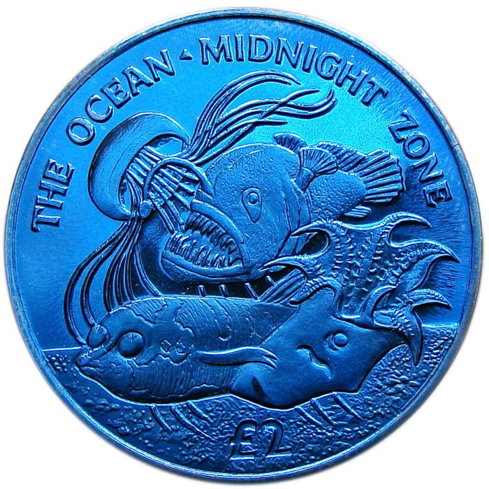 South Georgia and the South Sandwich Islands 2 Pounds - Elizabeth II Midnight zone