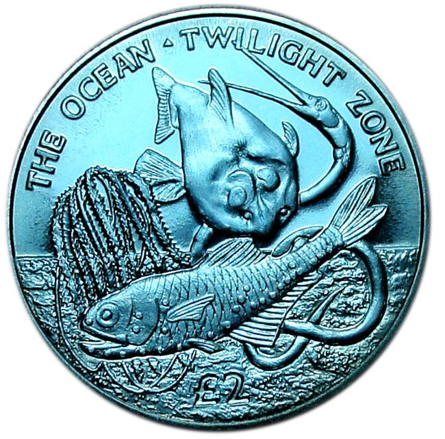 South Georgia and the South Sandwich Islands 2 Pounds - Elizabeth II Twilight Zone