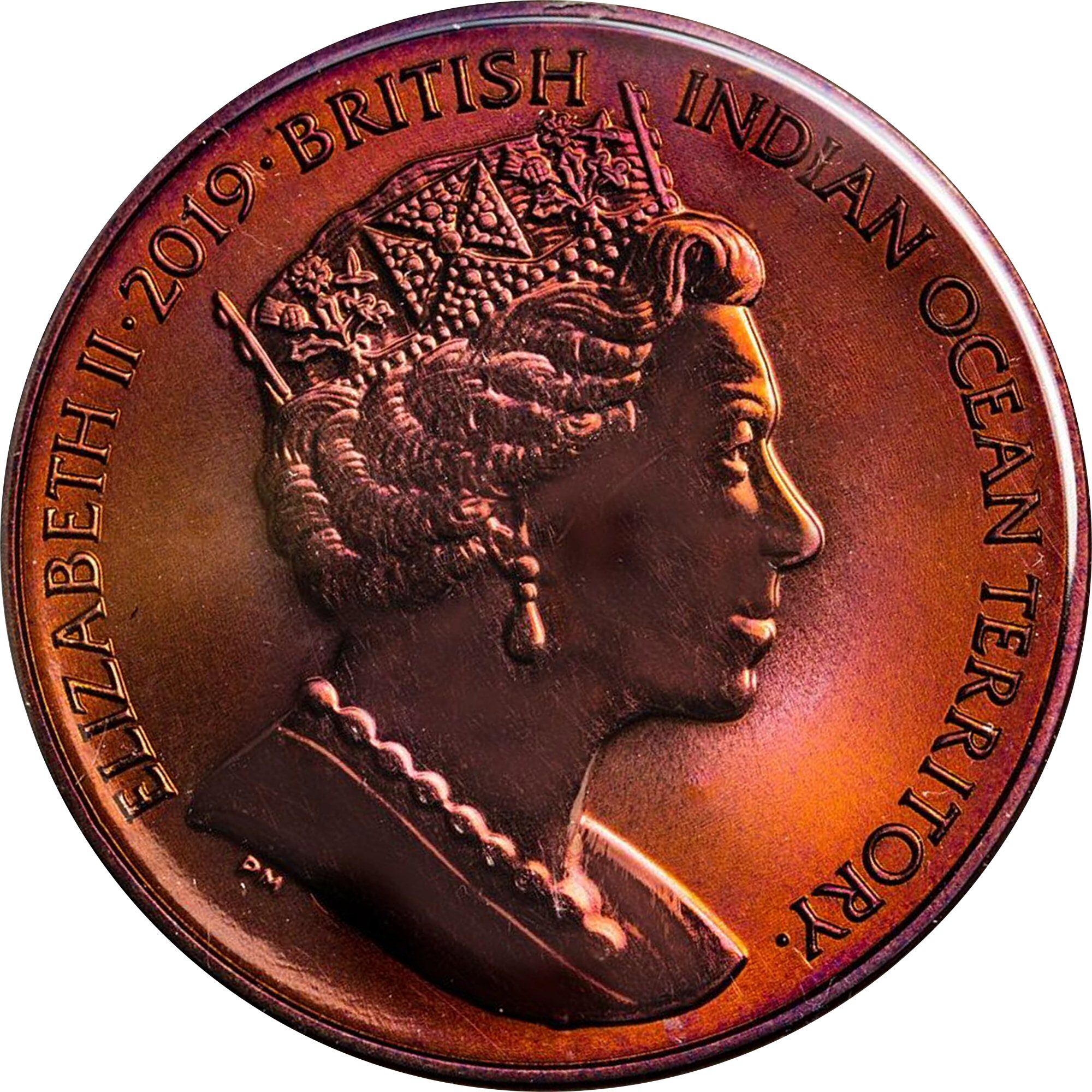 British Indian Ocean Territory 2 Pounds - Elizabeth II Red-footed booby; Titanium obverse
