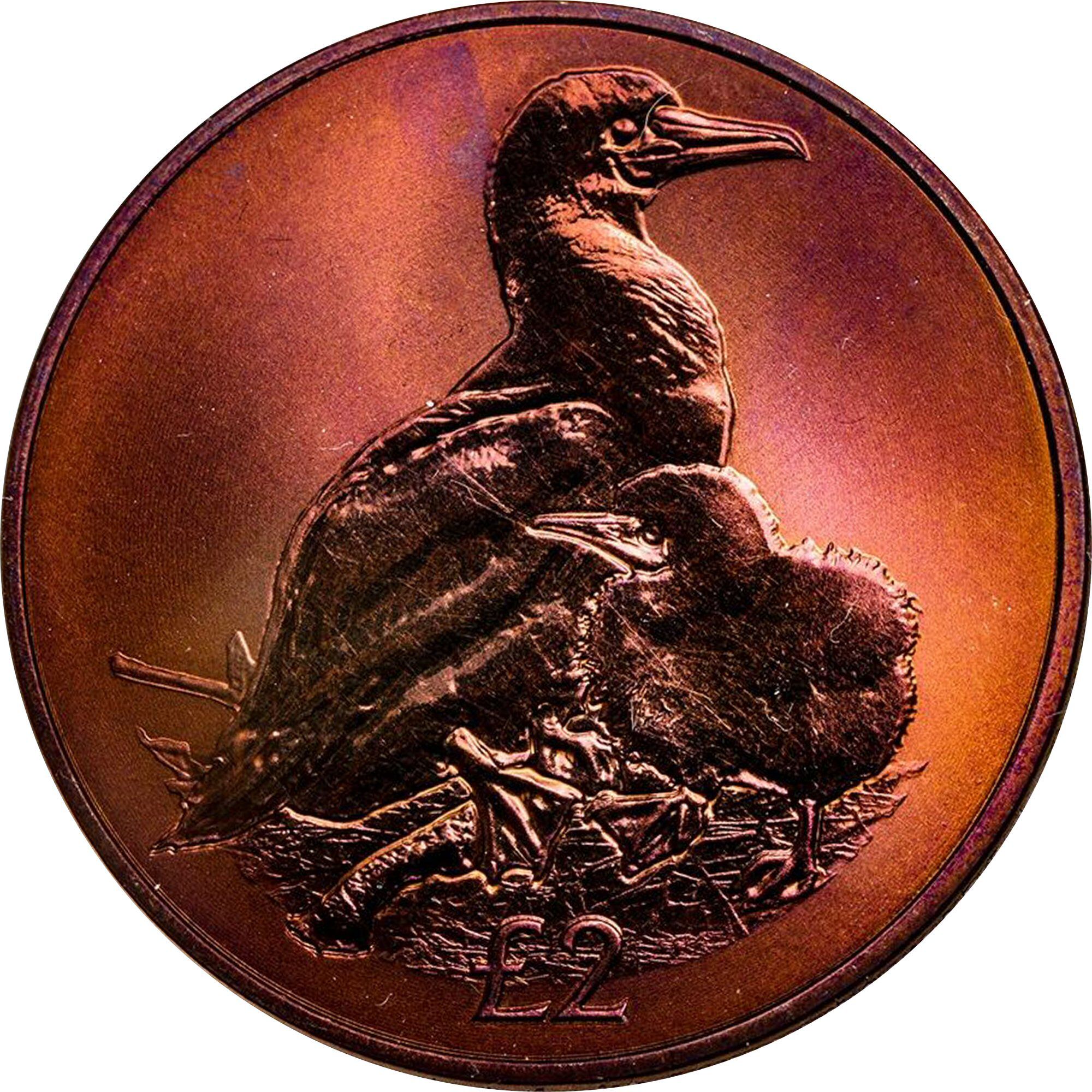 British Indian Ocean Territory 2 Pounds - Elizabeth II Red-footed booby; Titanium