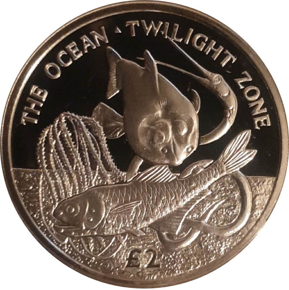 South Georgia and the South Sandwich Islands 2 Pounds - Elizabeth II Twilight zone