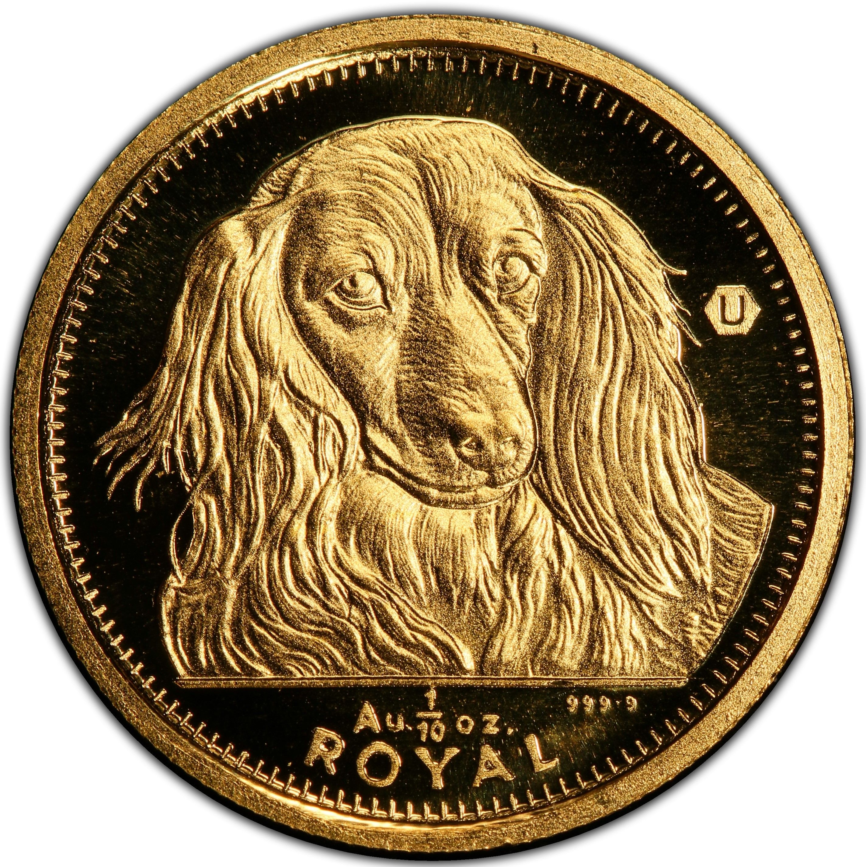 Gibraltar 1/25 Royal - Elizabeth II Long-haired Dachshund
