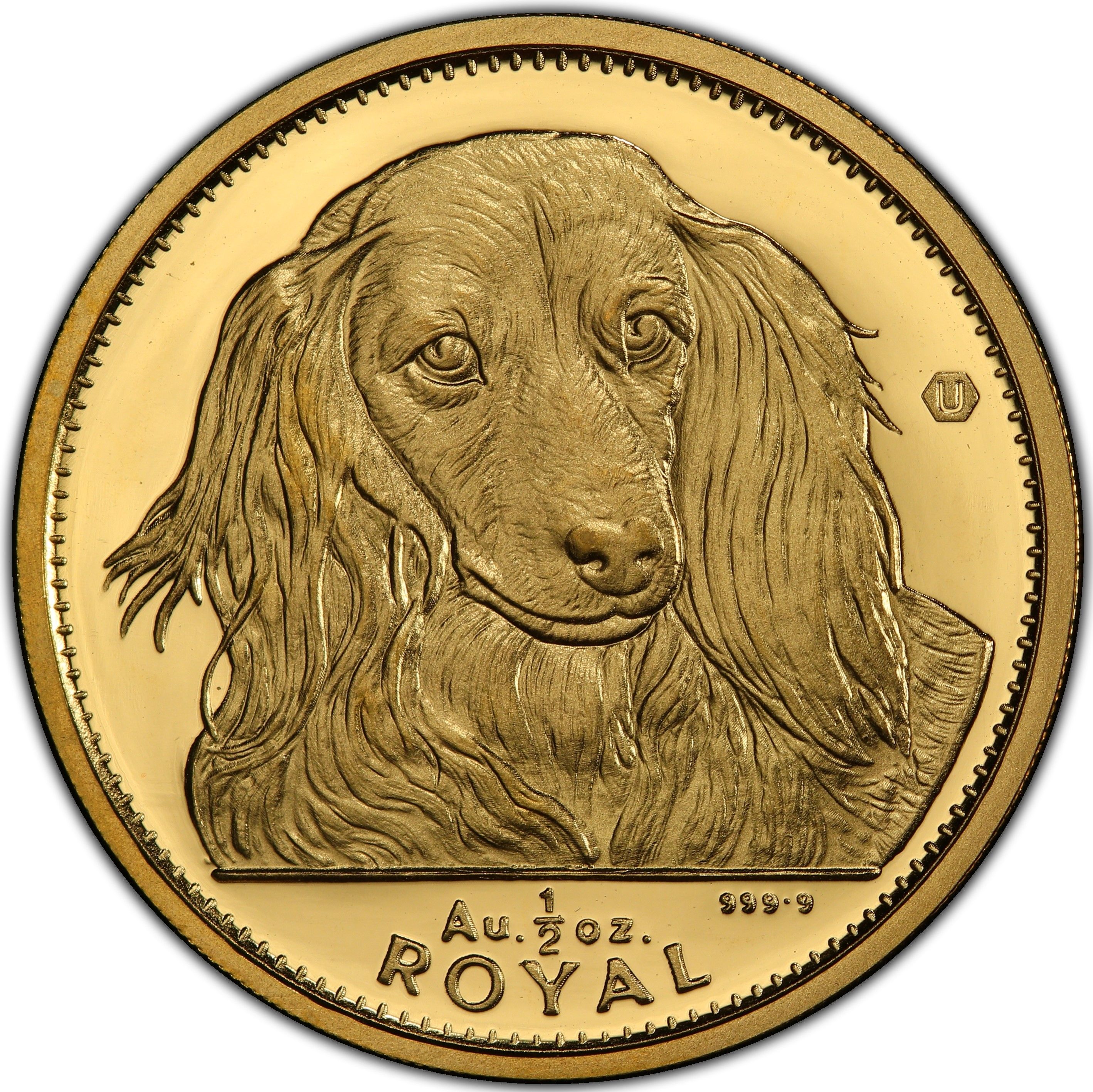 Gibraltar ½ Royal - Elizabeth II Long-haired Dachshund
