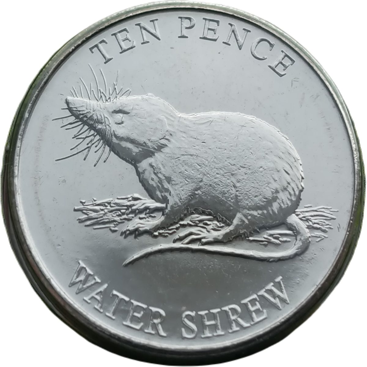 Guernsey 10 Pence - Elizabeth II Water Shrew reverse