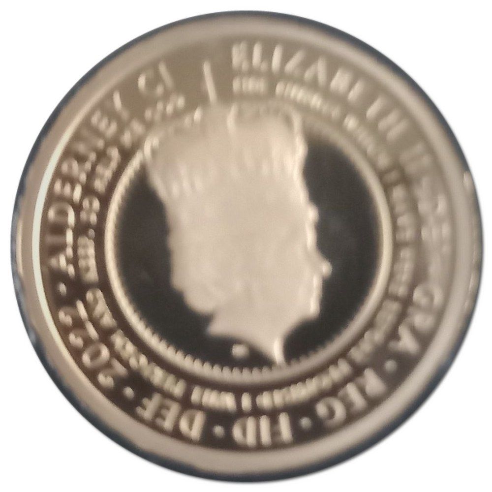 Alderney ½ Sovereign - Elizabeth II Platinum Jubilee - Queen on throne obverse