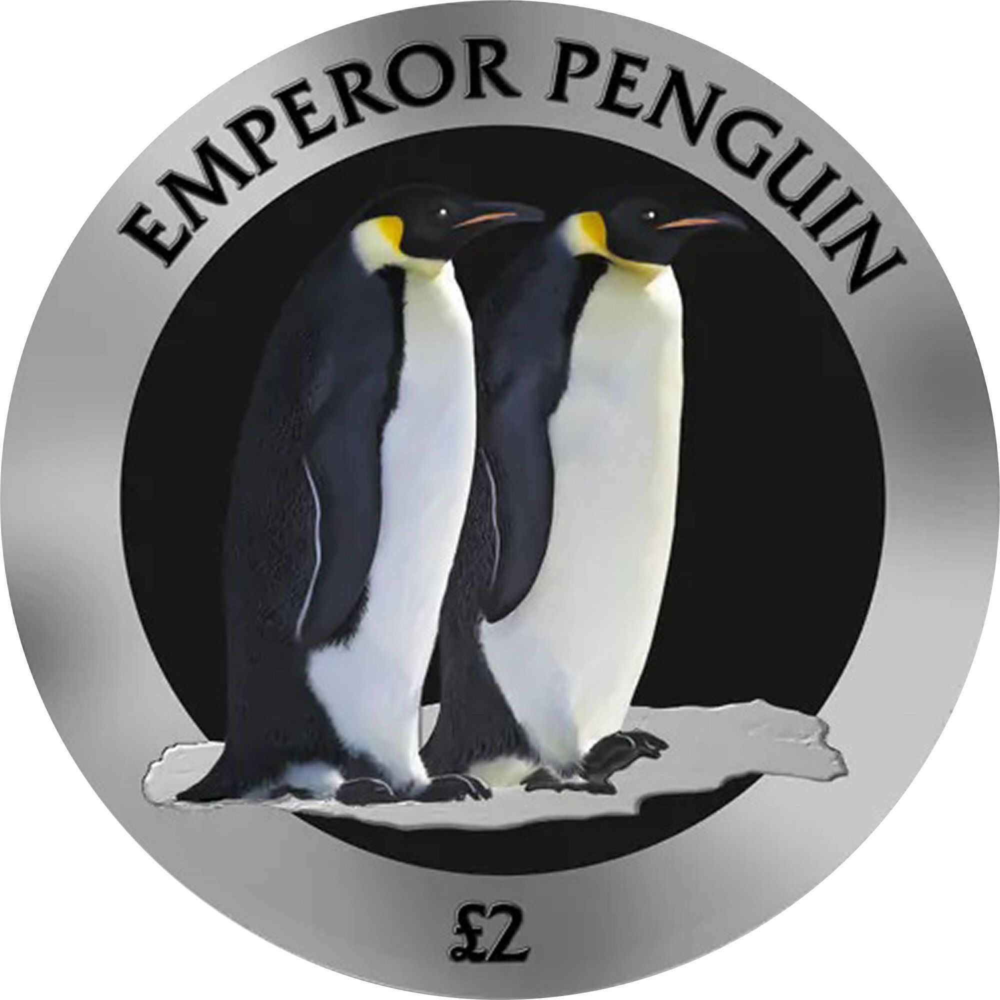 British Antarctic Territory 2 Pounds - Charles III Emperor penguin; Coloured