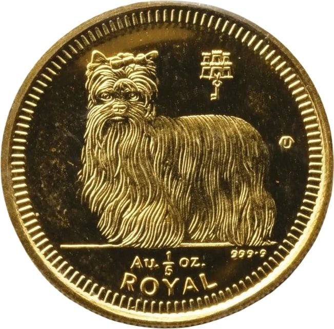 Gibraltar ⅕ Royal - Elizabeth II Yorkshire Terrier