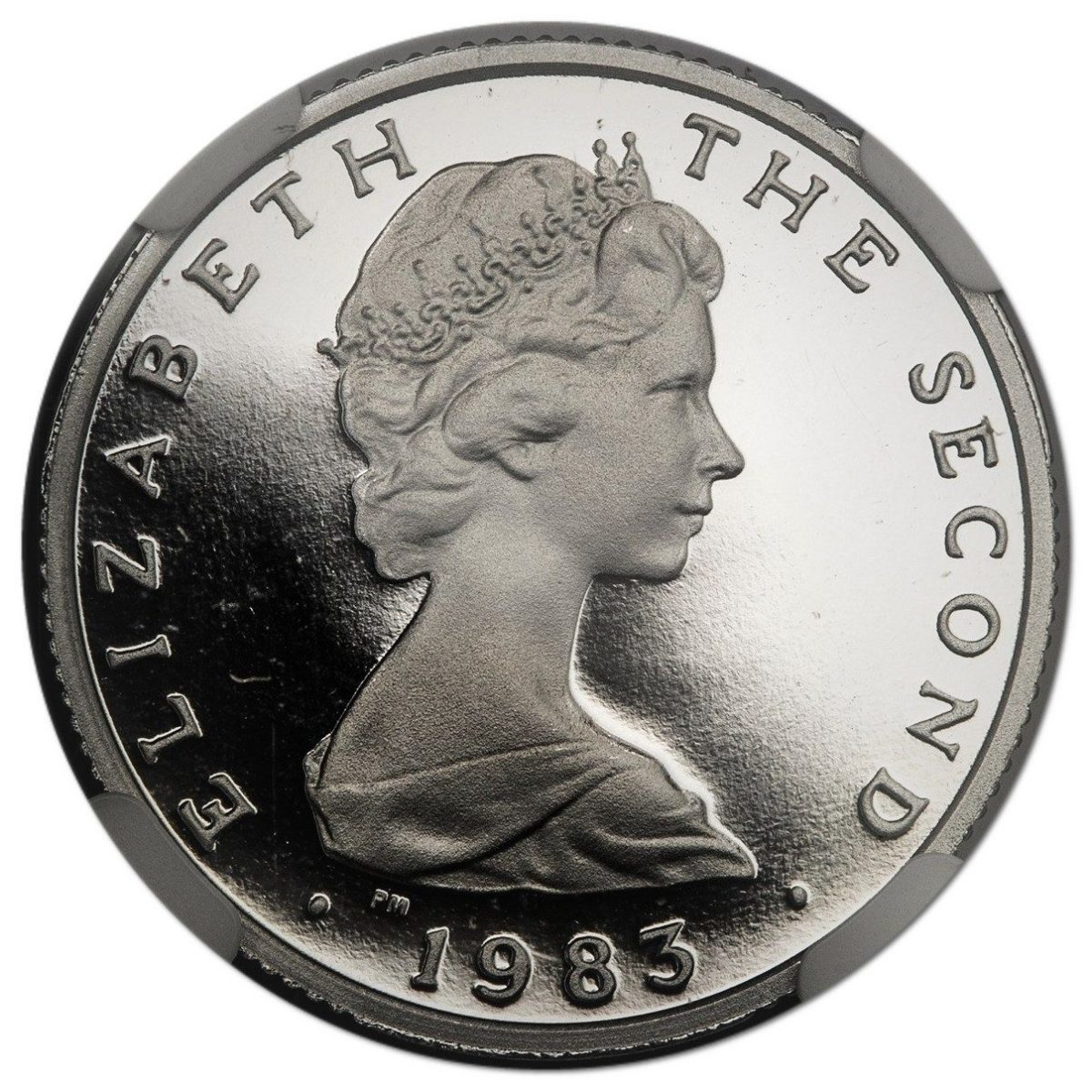Isle of Man 1 Pound - Elizabeth II Peel; Platinum Proof obverse