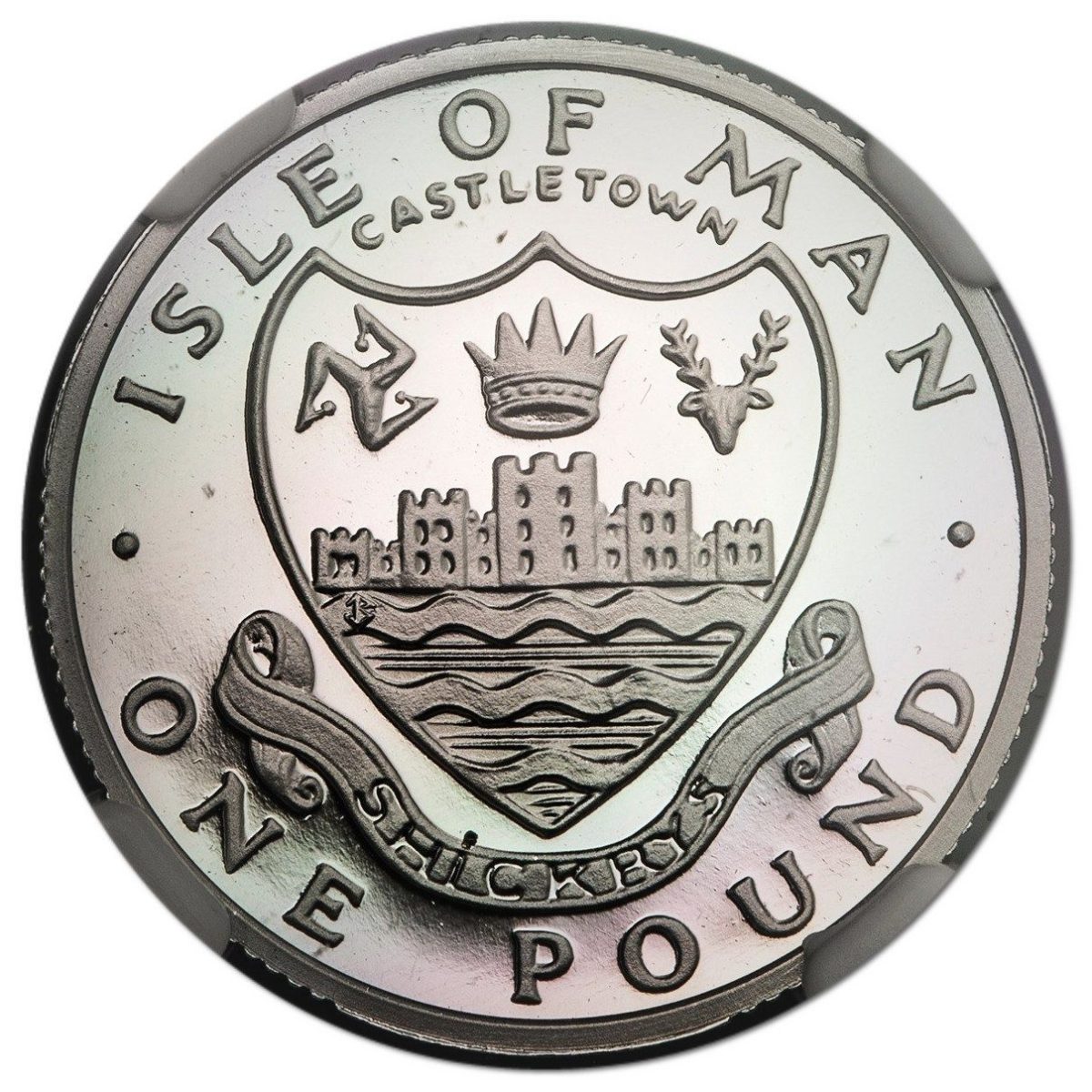 Isle of Man 1 Pound - Elizabeth II Castletown; Platinum Proof