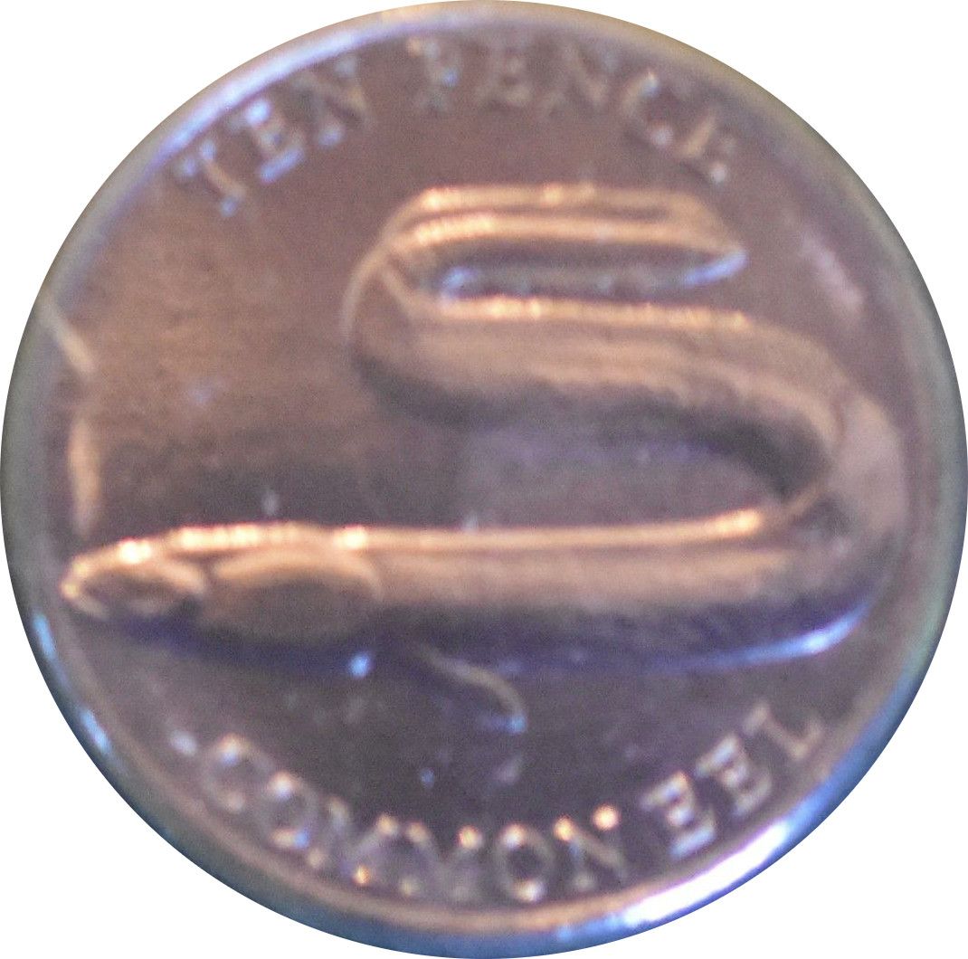 Guernsey 10 Pence - Charles III Common Eel