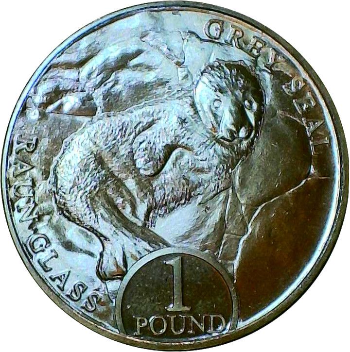 Isle of Man 1 Pound - Charles III Grey seal