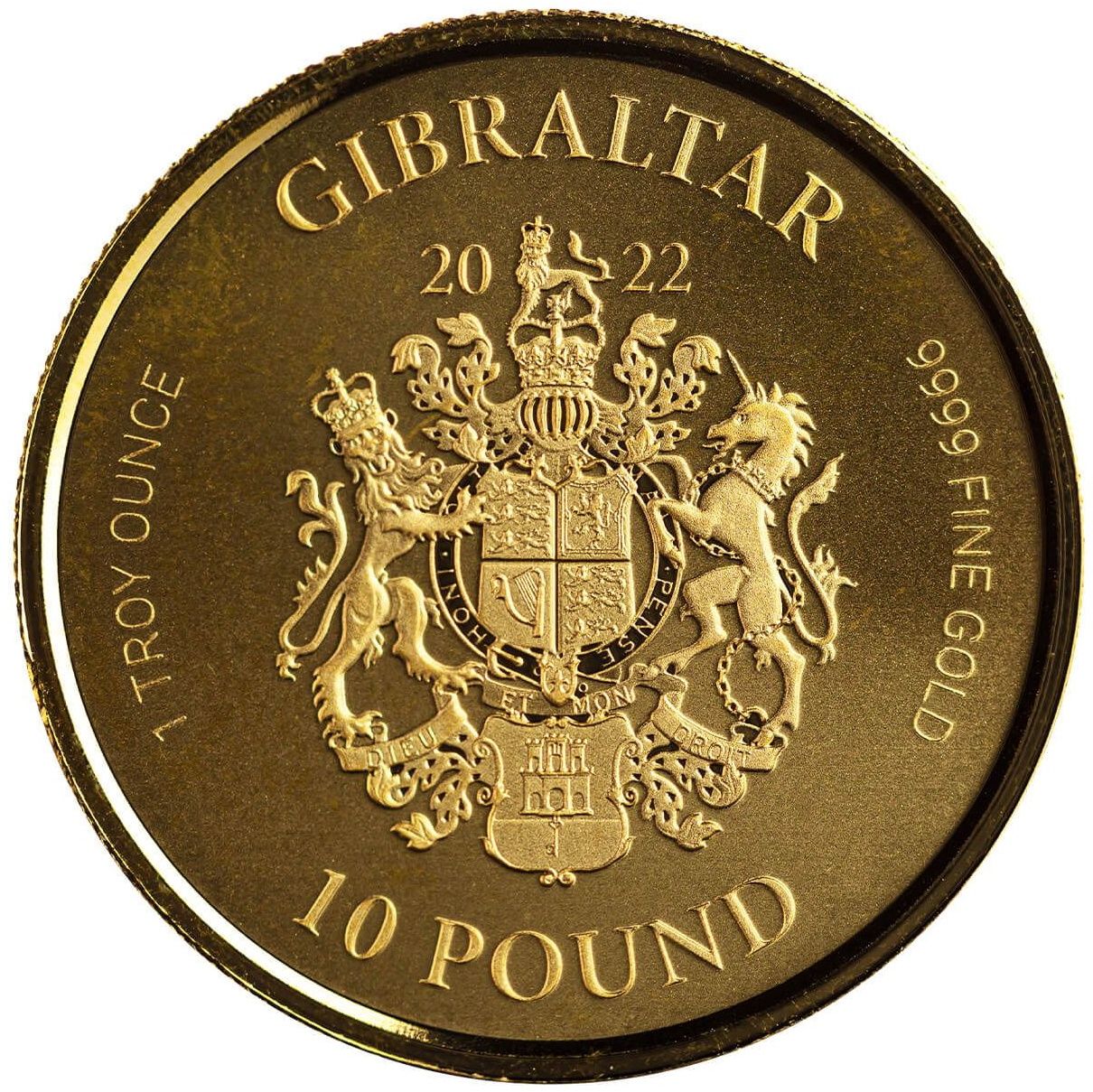 Gibraltar 10 Pounds War Elephant obverse