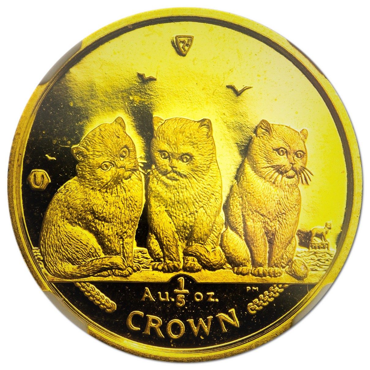 Isle of Man ⅕ Crown - Elizabeth II Exotic Shorthair Cat