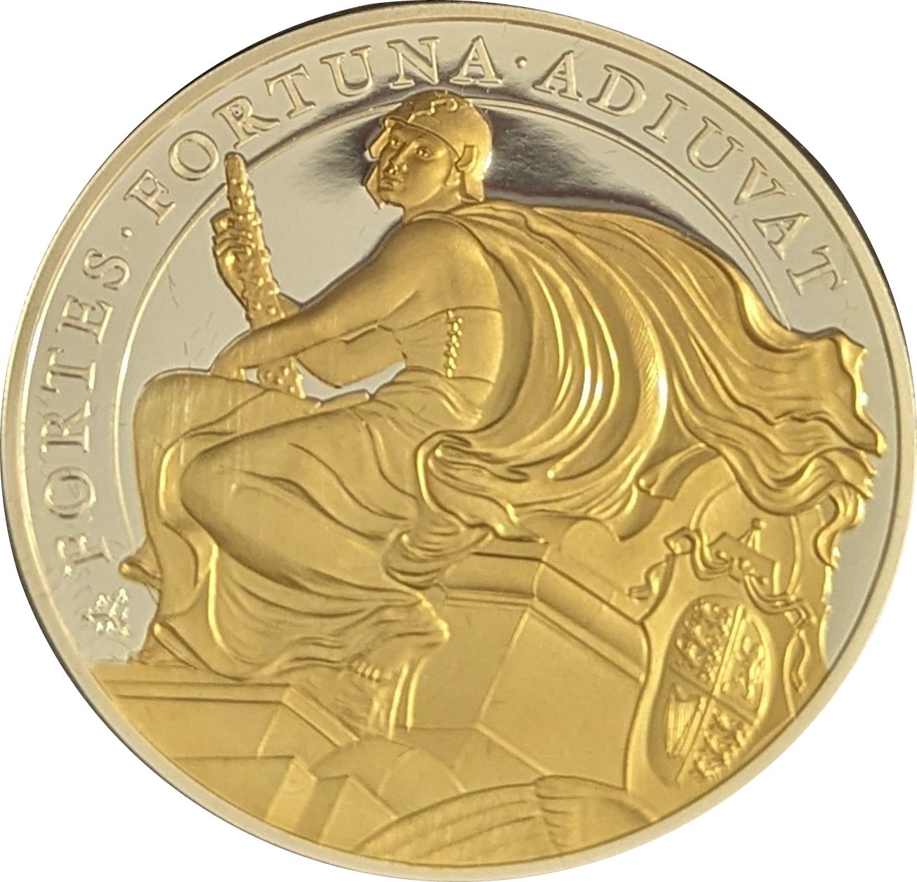 Saint Helena 1 Pound - Elizabeth II Courage, gilding reverse
