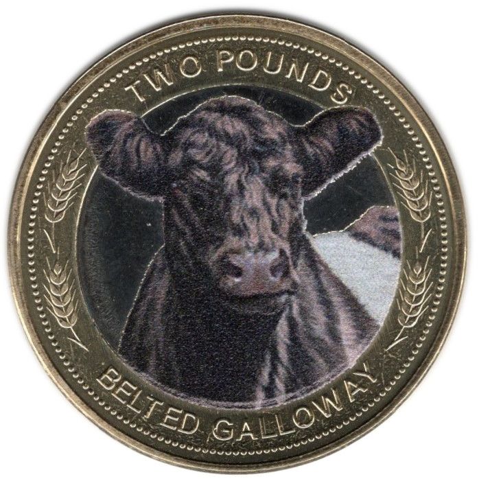 Jersey 2 Pounds - Charles III Heritage Breeds - Belted Galloway