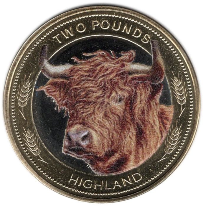 Jersey 2 Pounds - Charles III Heritage Breeds - Highland; Colourised