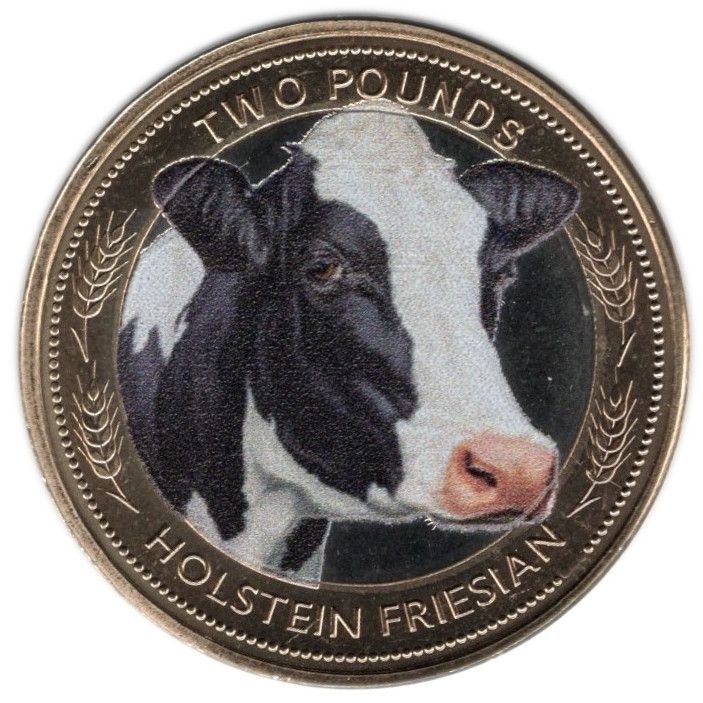 Jersey 2 Pounds - Charles III Heritage Breeds - Holstein Friesian obverse