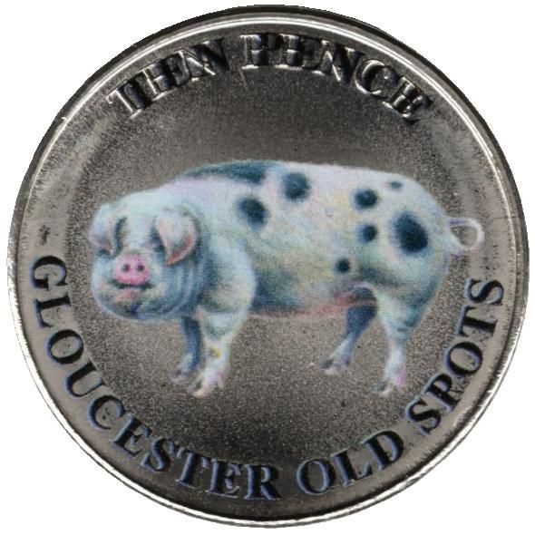Guernsey 10 Pence - Charles III Gloucester Old Spots; Coloured reverse